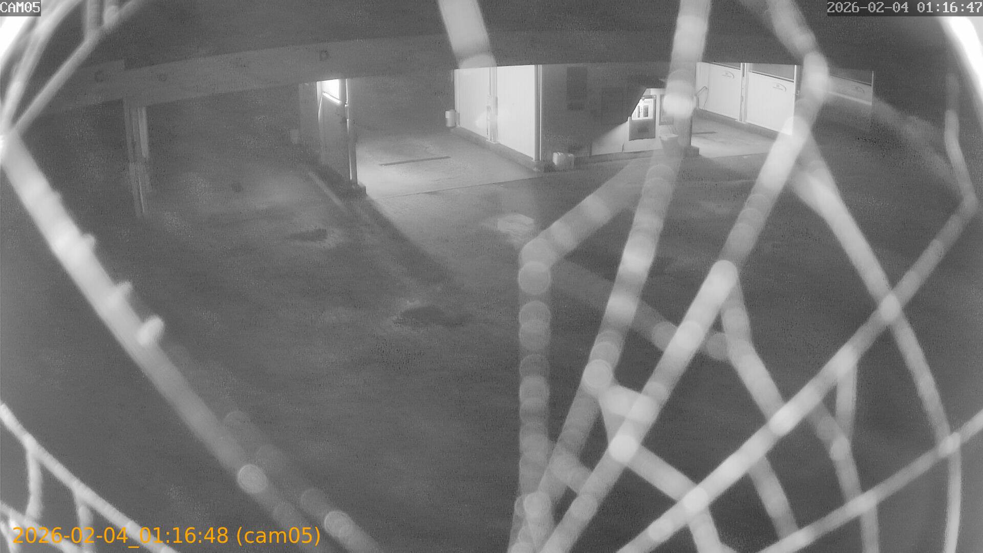 thumbnail_20260204011648