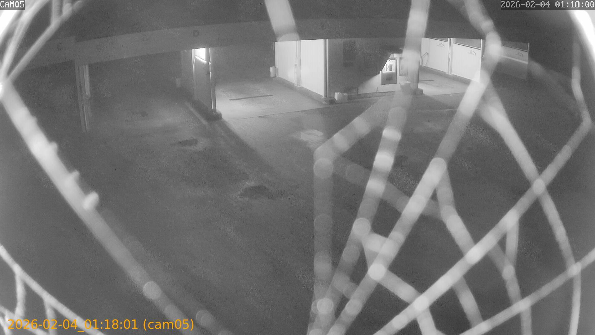 thumbnail_20260204011801