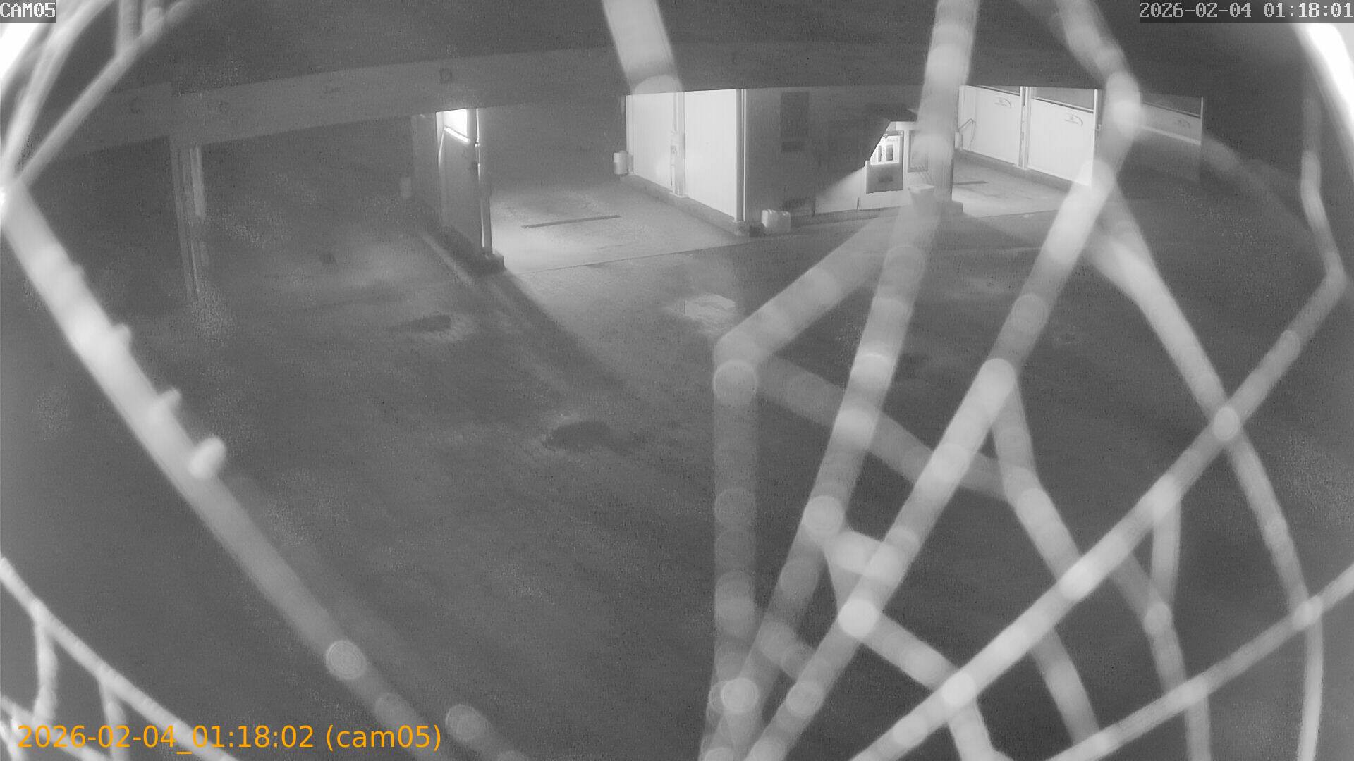 thumbnail_20260204011802