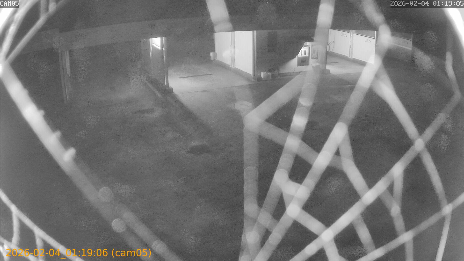 thumbnail_20260204011906