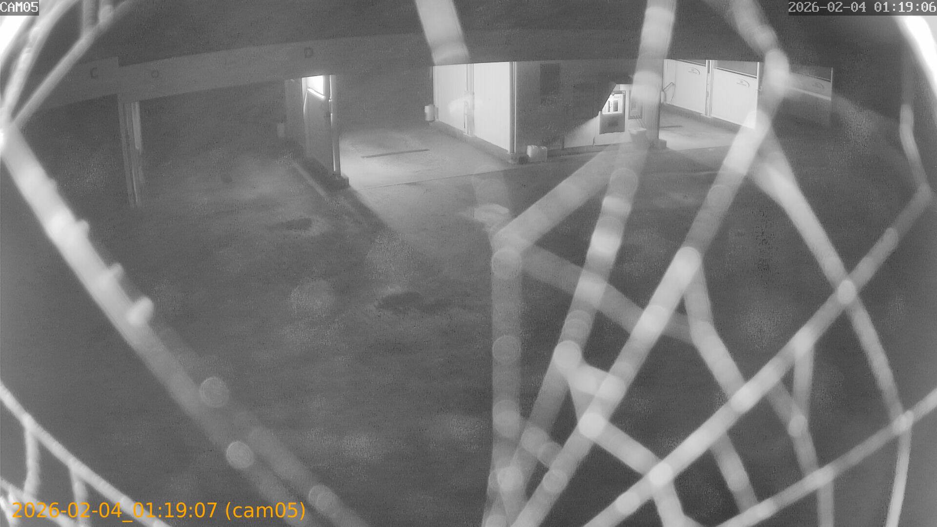 thumbnail_20260204011907