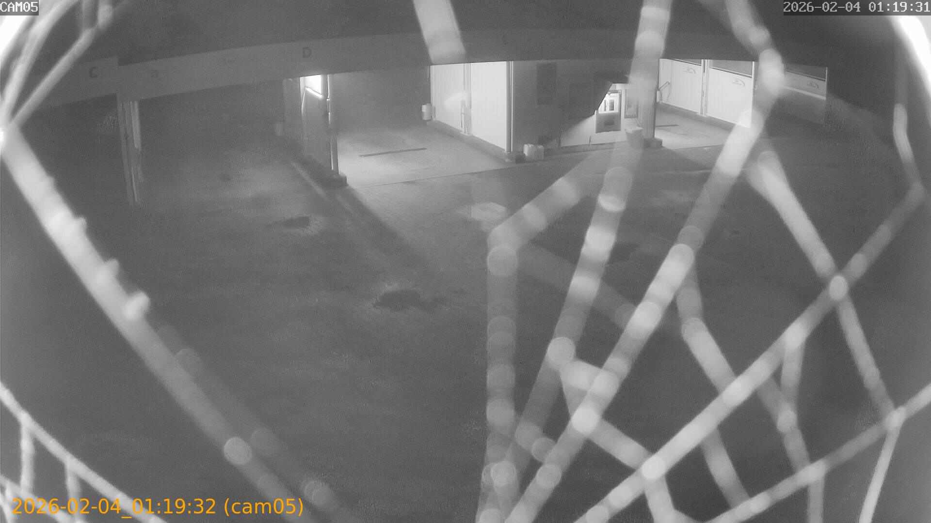 thumbnail_20260204011932