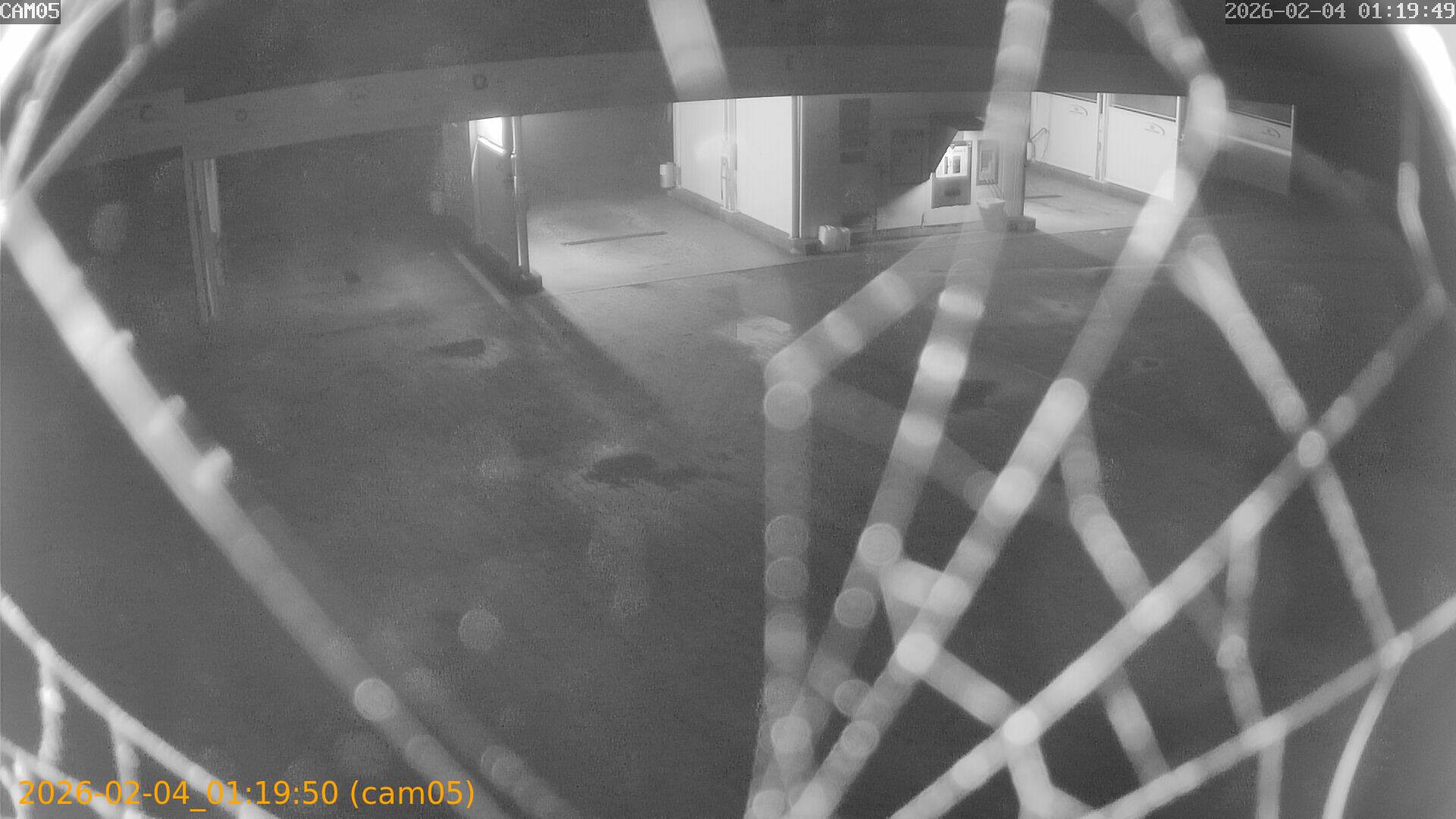 thumbnail_20260204011950