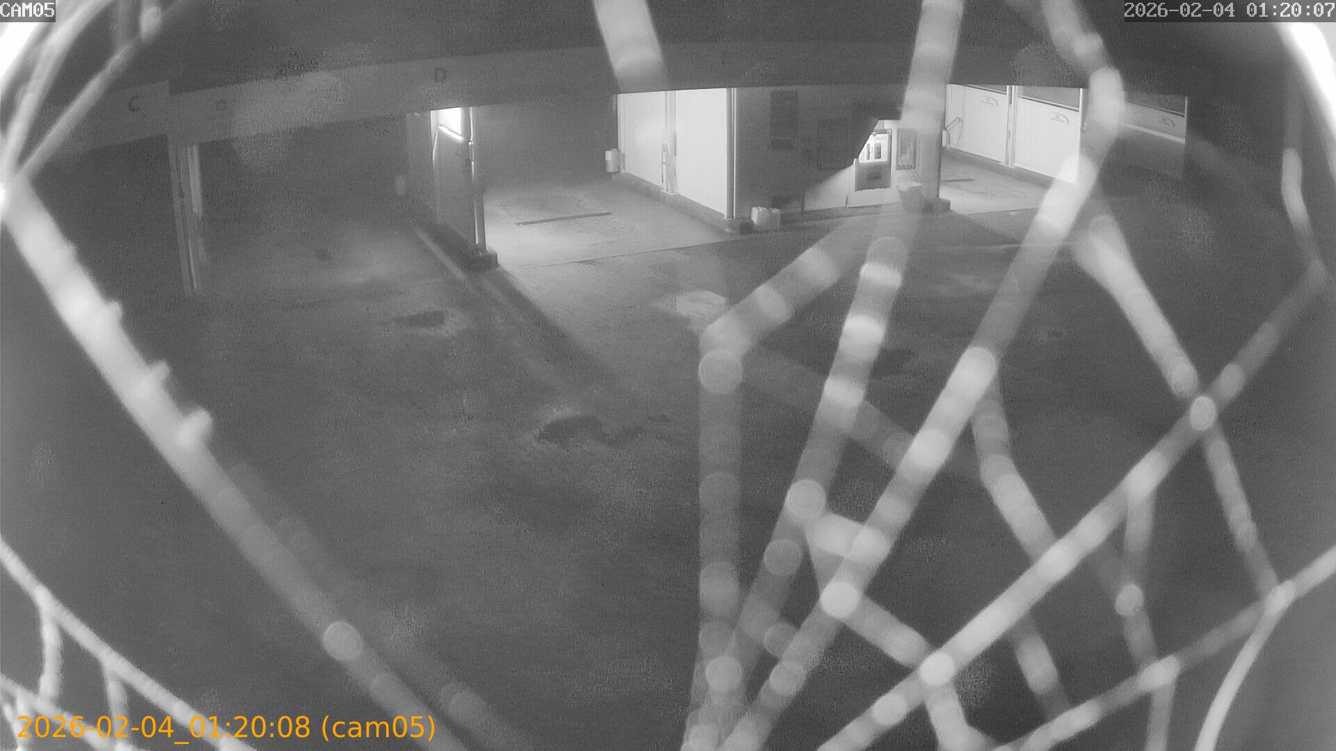 thumbnail_20260204012008