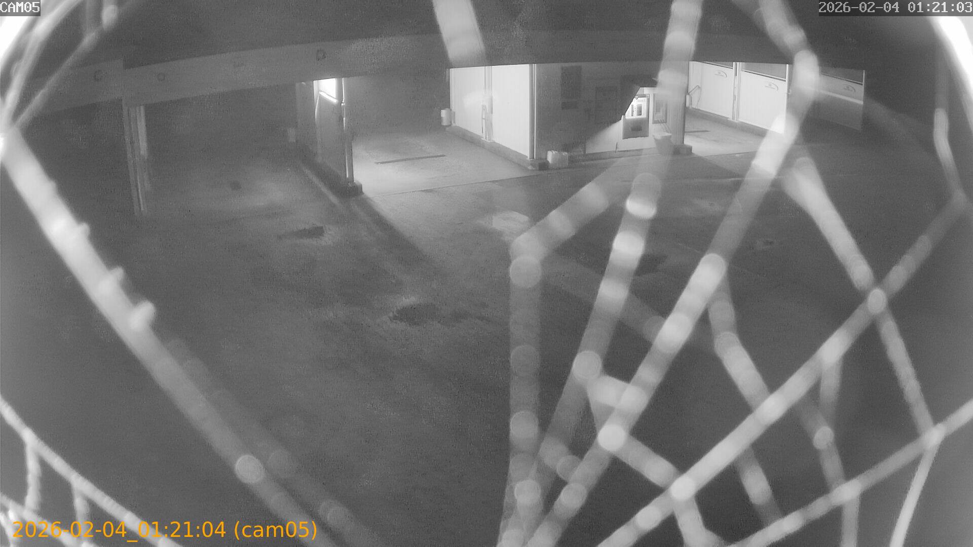 thumbnail_20260204012104