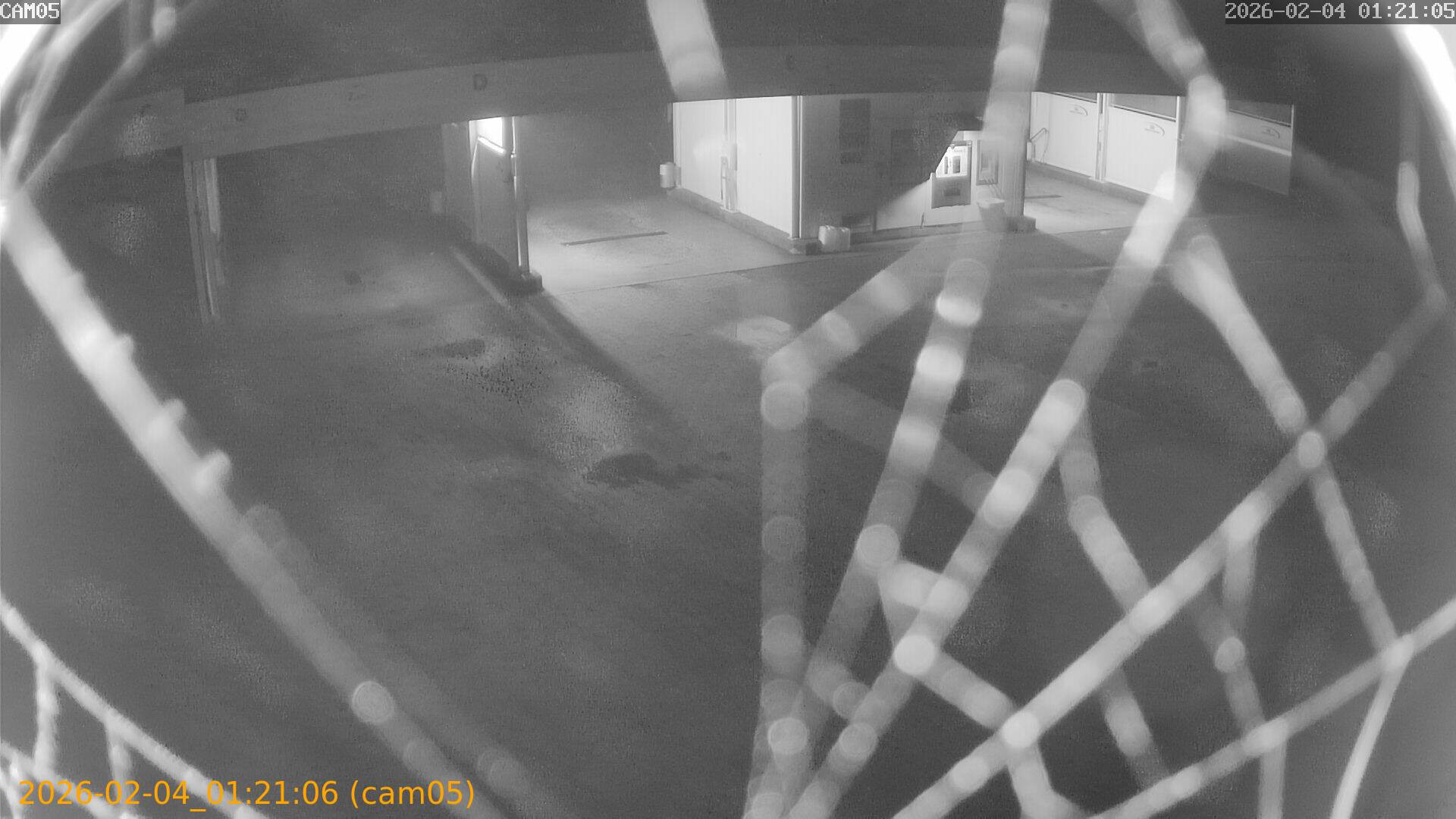 thumbnail_20260204012106