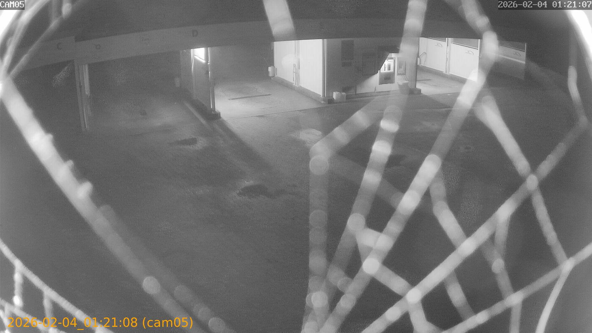 thumbnail_20260204012108