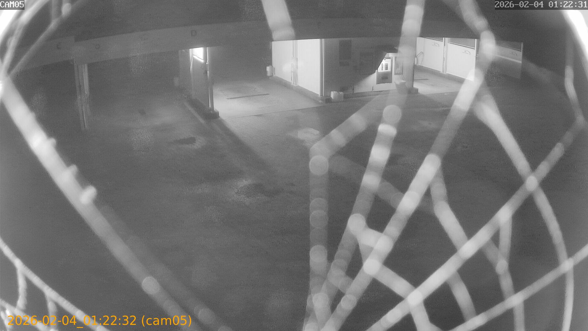 thumbnail_20260204012232