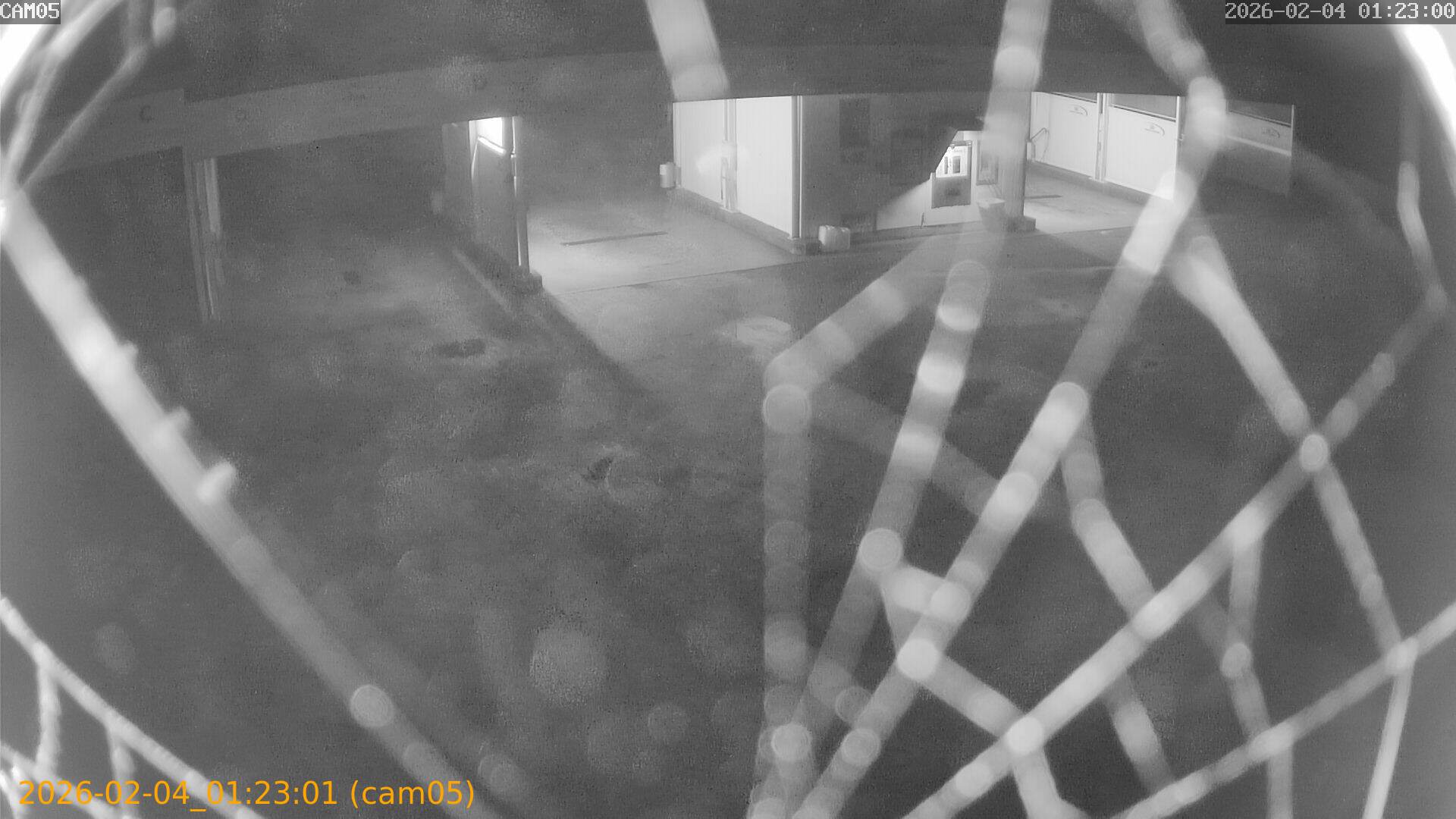 thumbnail_20260204012301