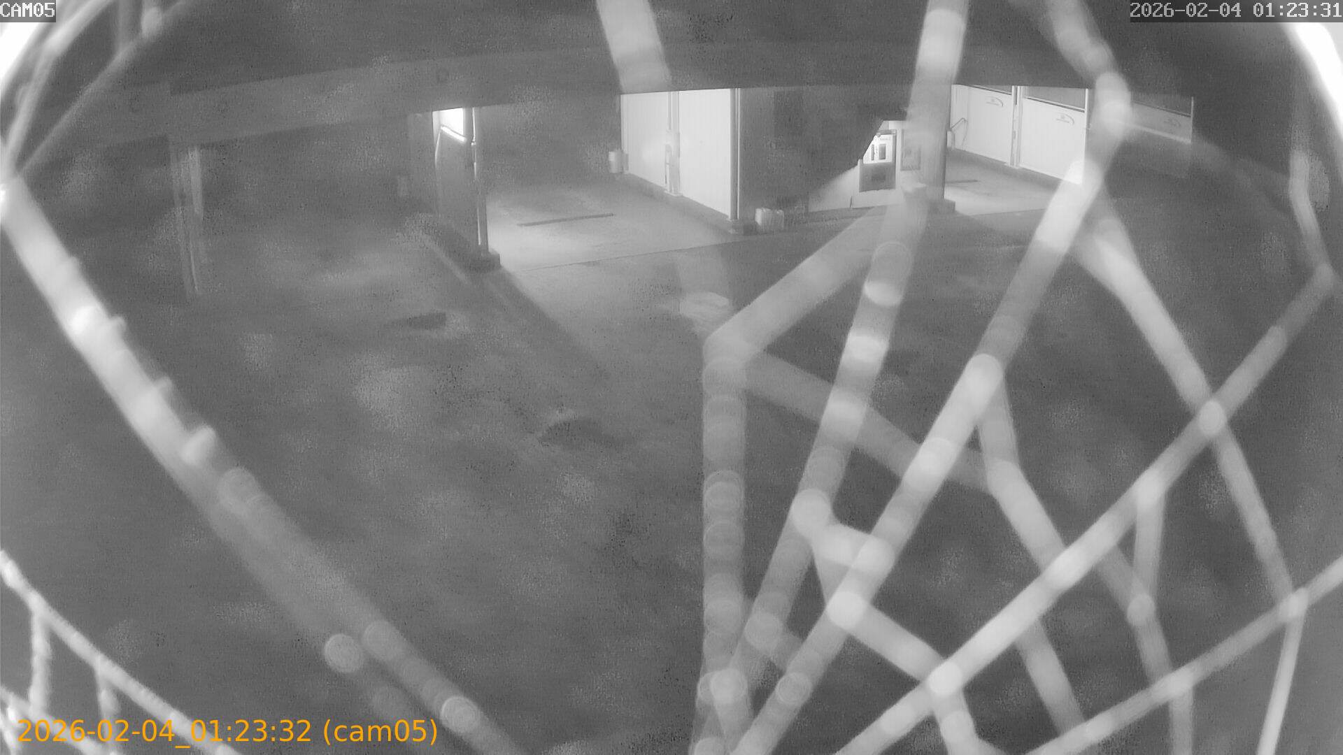 thumbnail_20260204012332