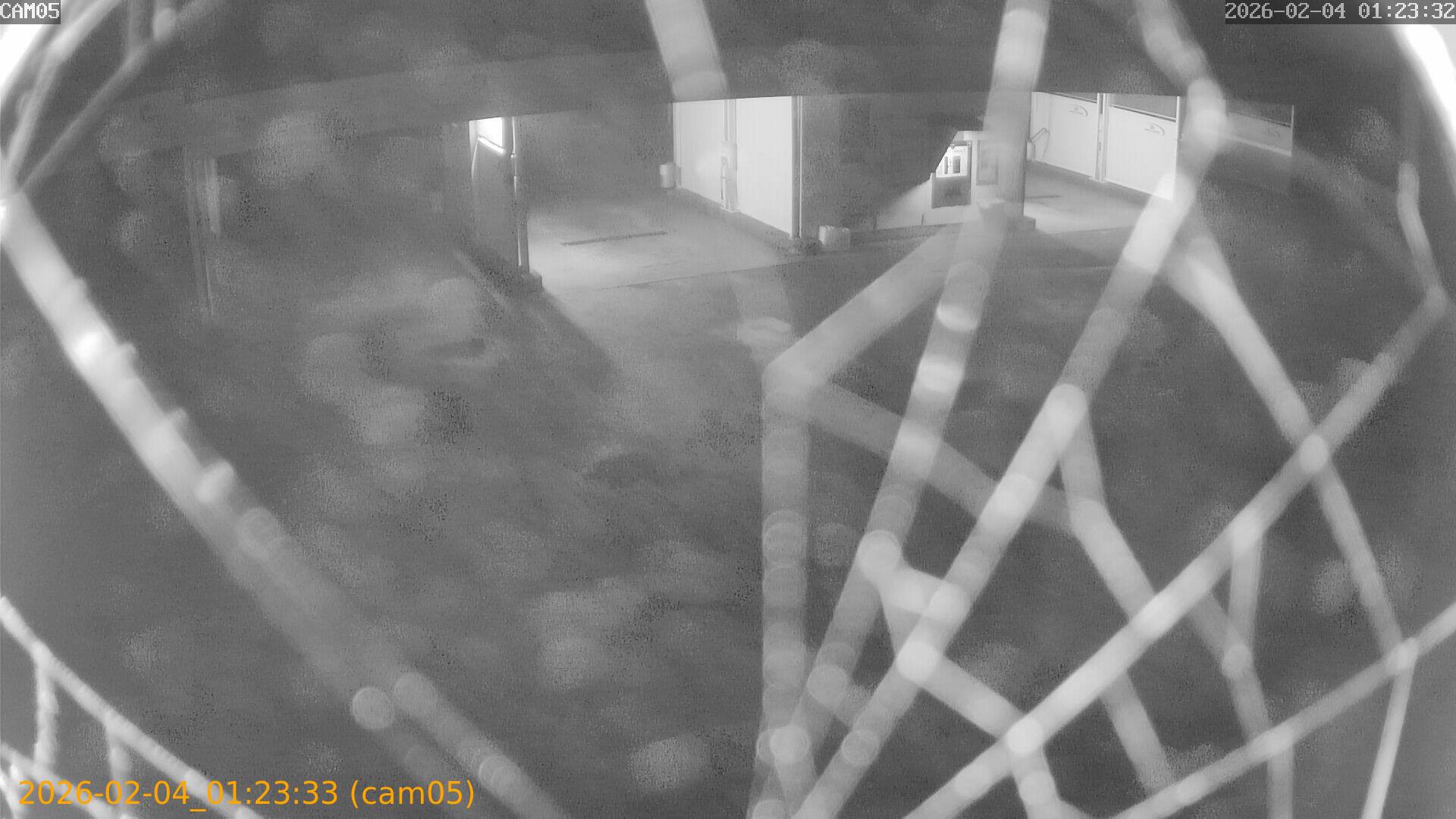 thumbnail_20260204012333