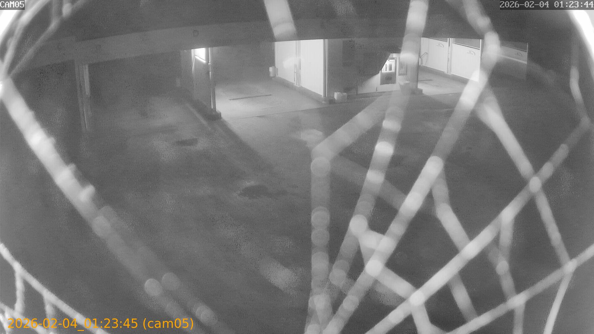 thumbnail_20260204012345