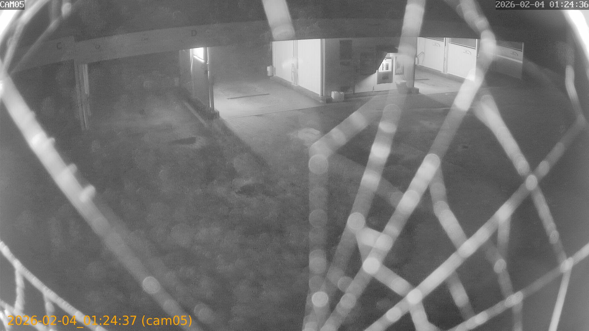 thumbnail_20260204012437