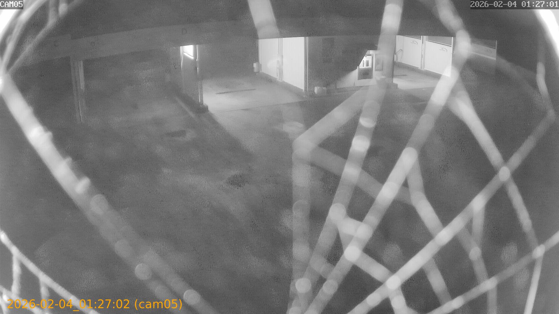 thumbnail_20260204012702