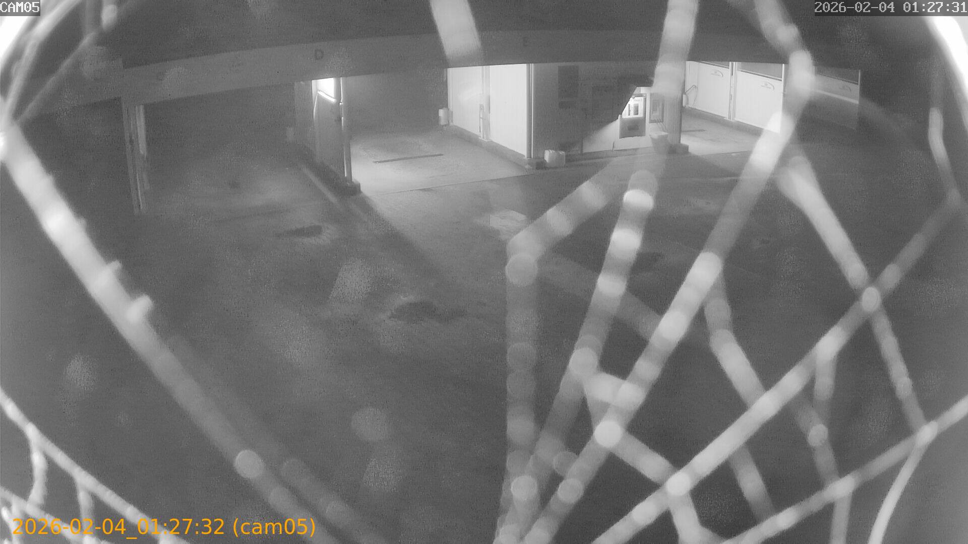 thumbnail_20260204012732