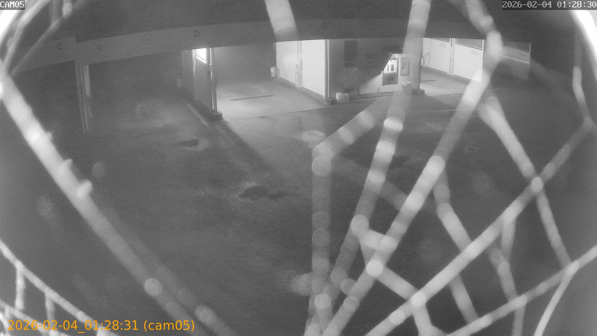 thumbnail_20260204012831