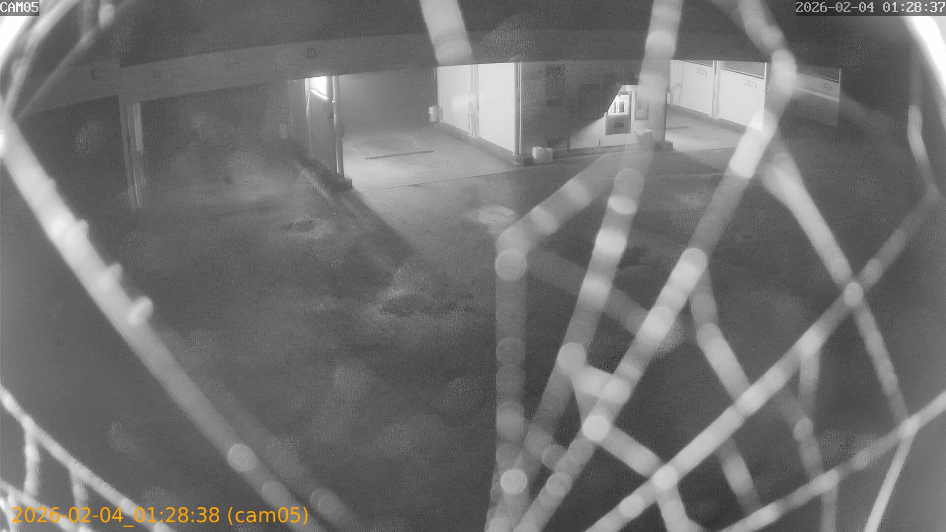 thumbnail_20260204012838