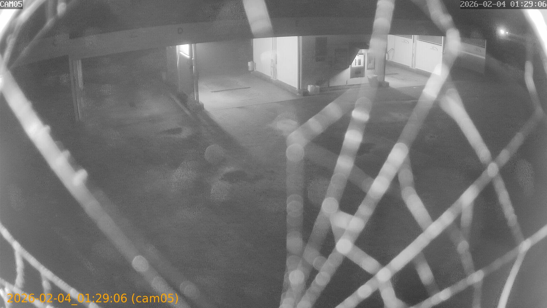 thumbnail_20260204012906