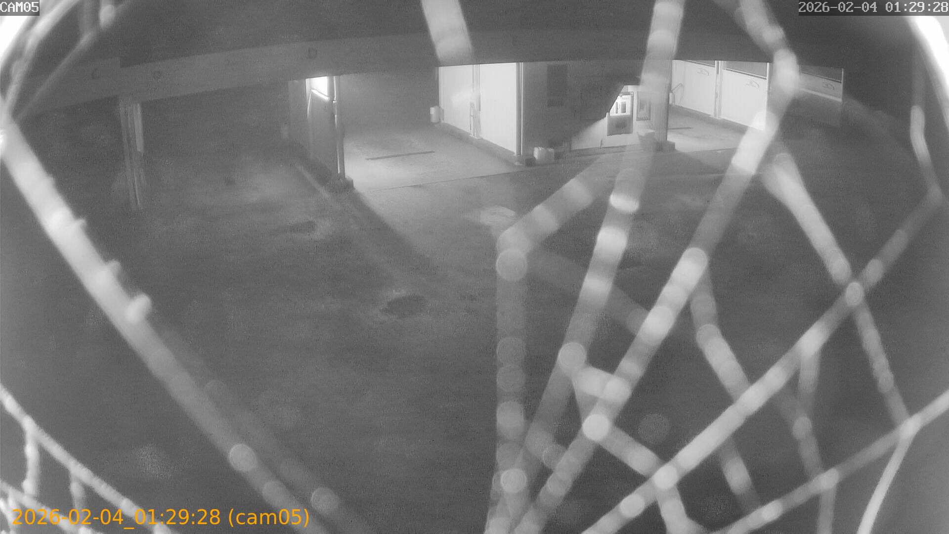 thumbnail_20260204012928