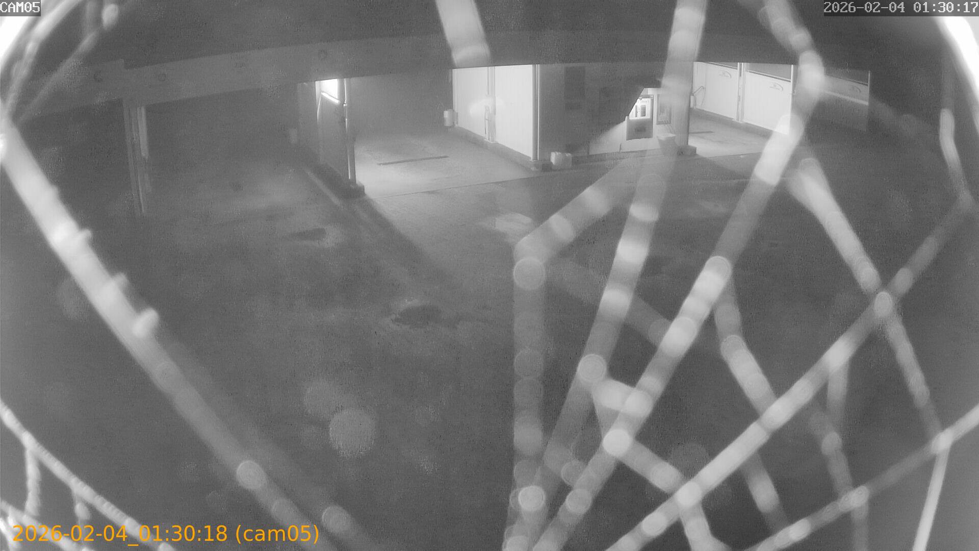 thumbnail_20260204013018