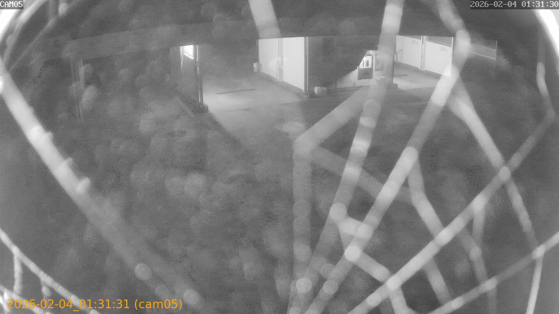 thumbnail_20260204013131