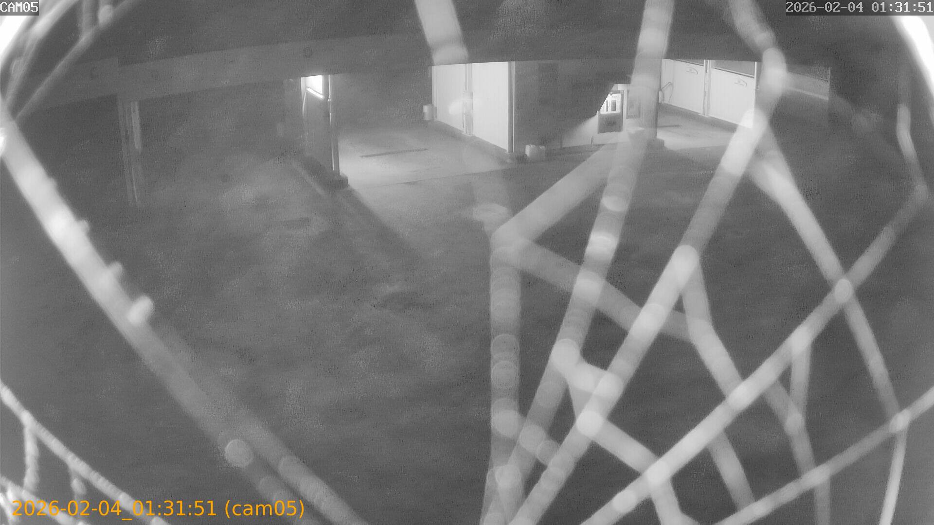 thumbnail_20260204013151