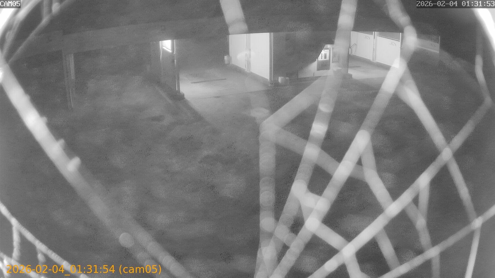 thumbnail_20260204013154