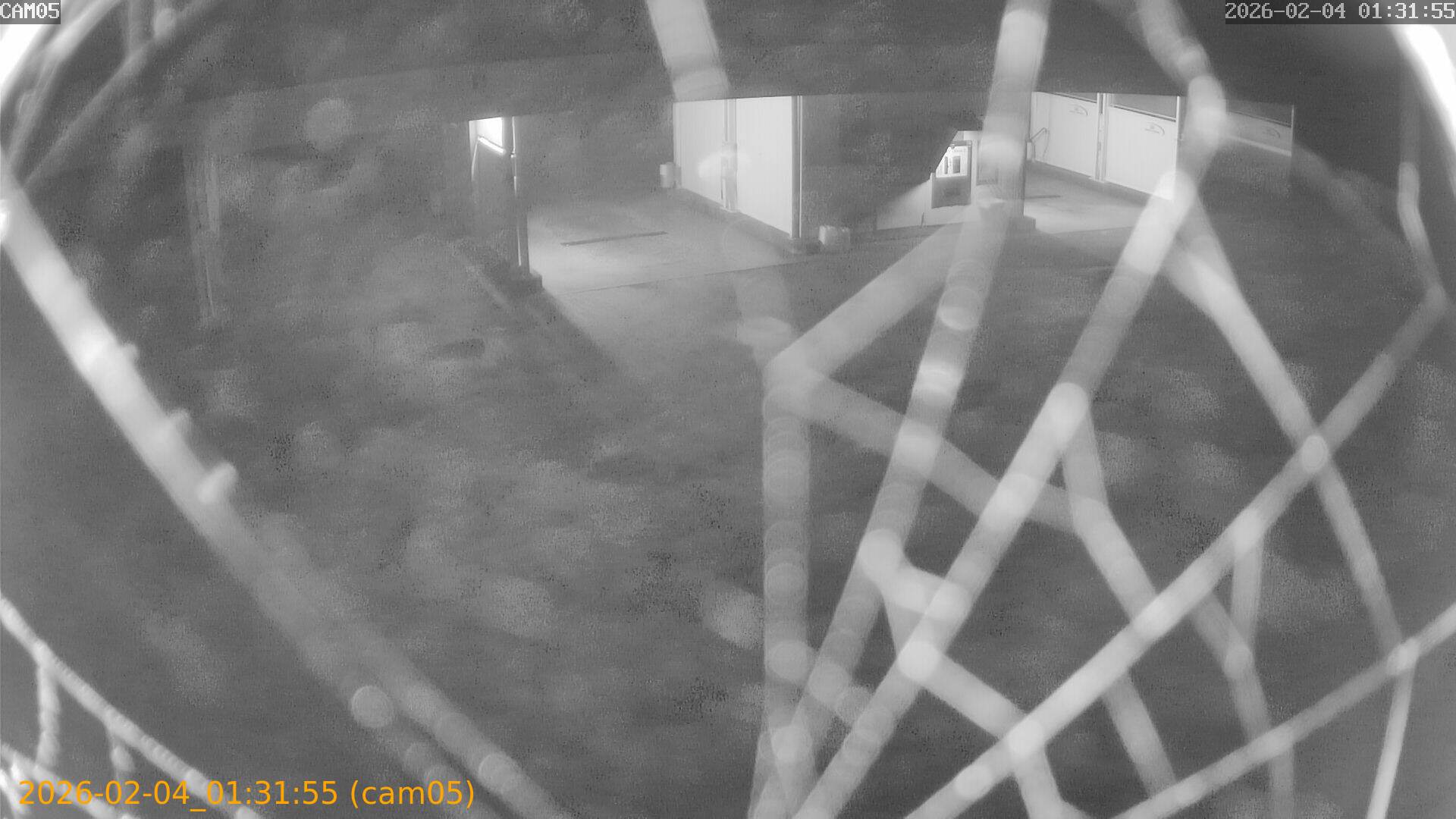 thumbnail_20260204013155