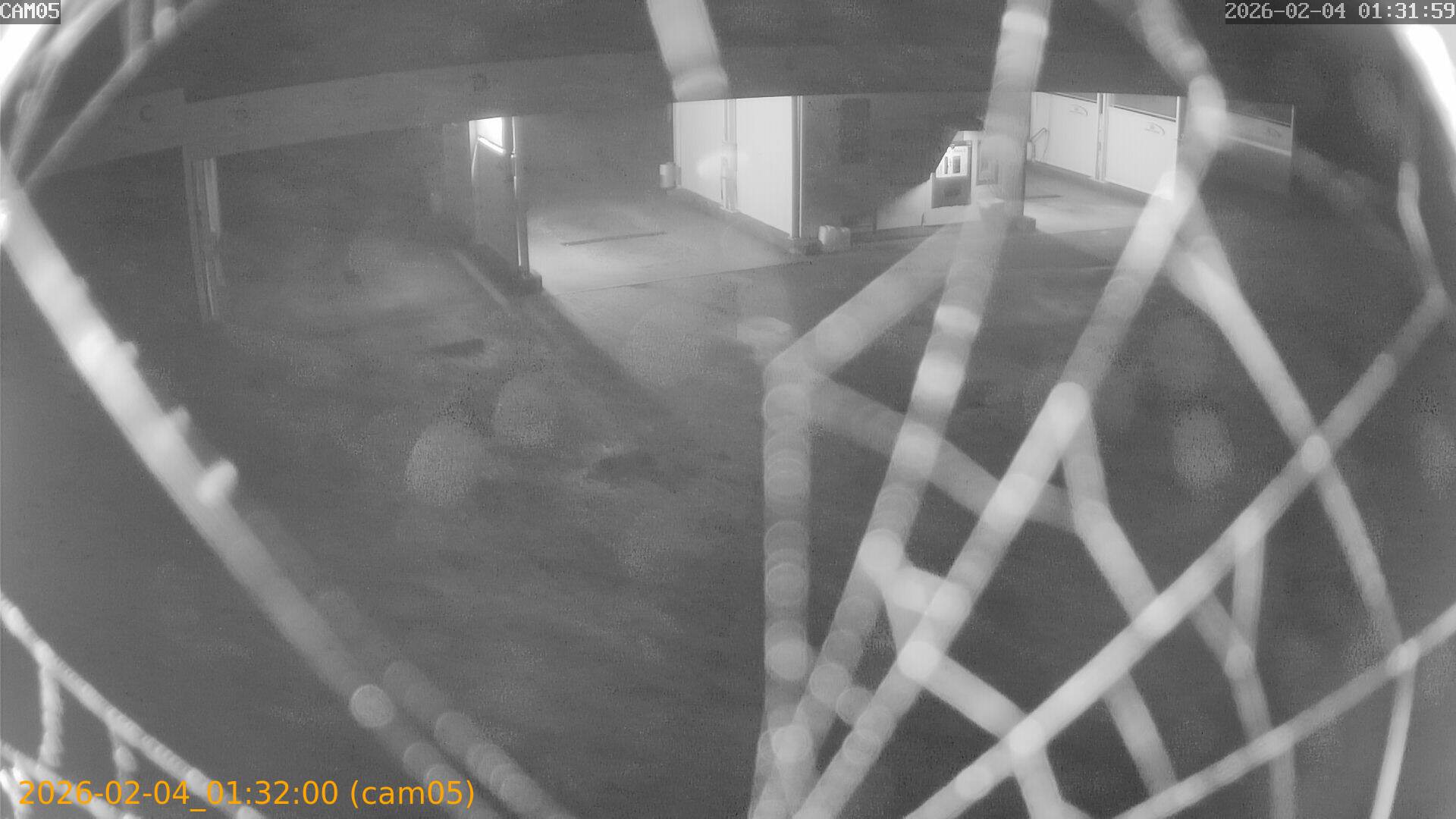 thumbnail_20260204013200