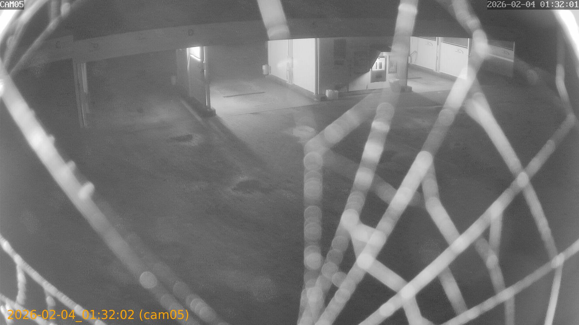 thumbnail_20260204013202