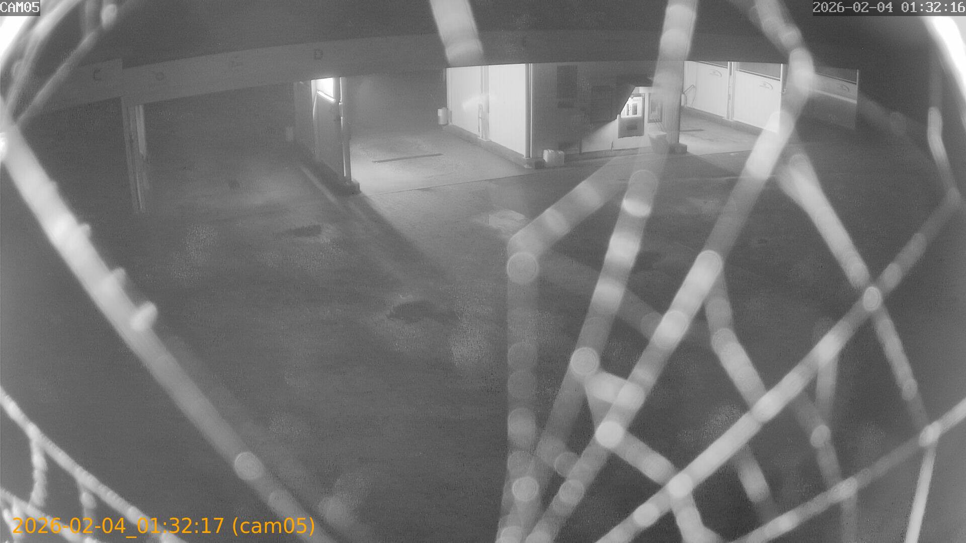 thumbnail_20260204013217