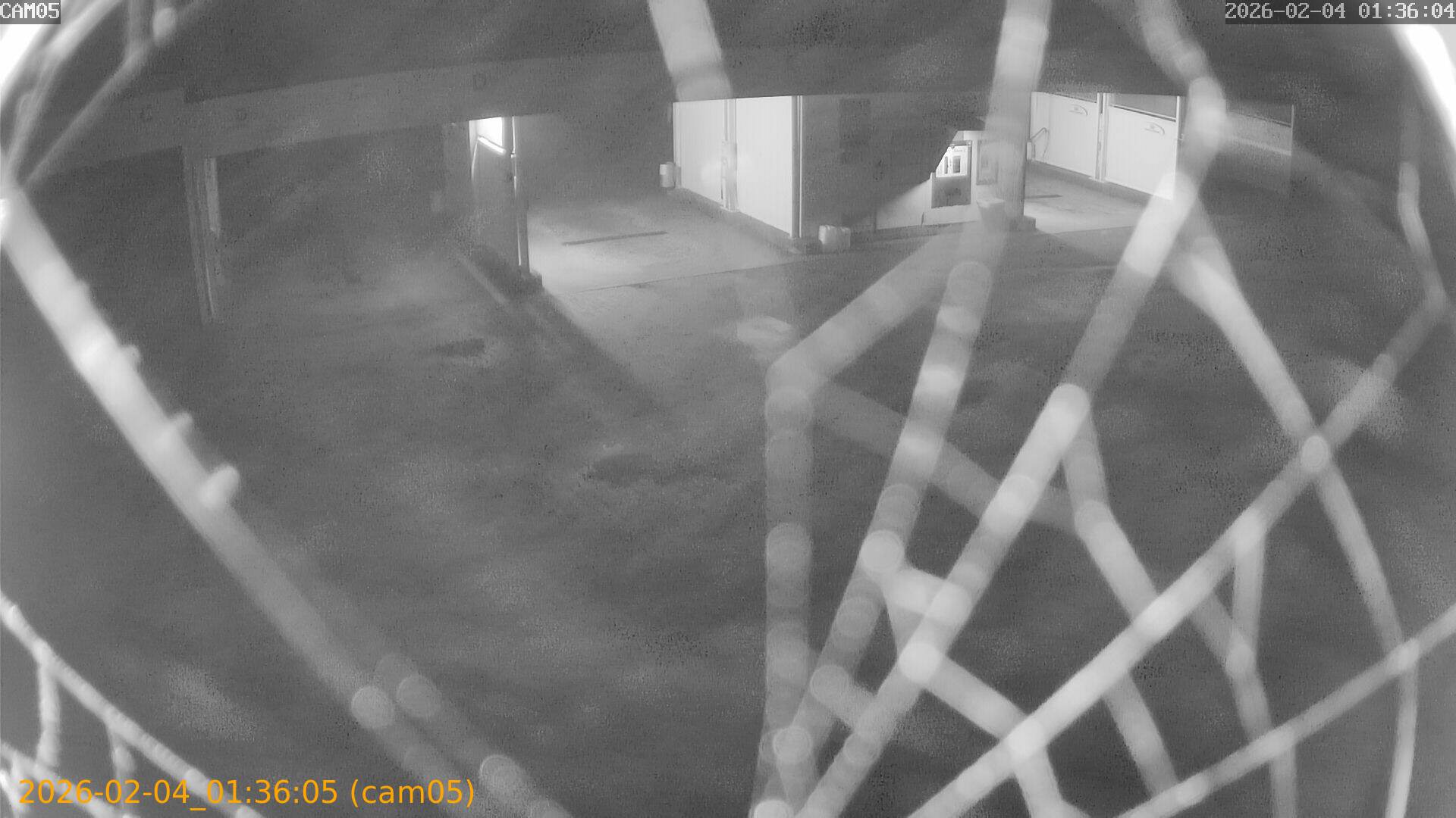 thumbnail_20260204013605