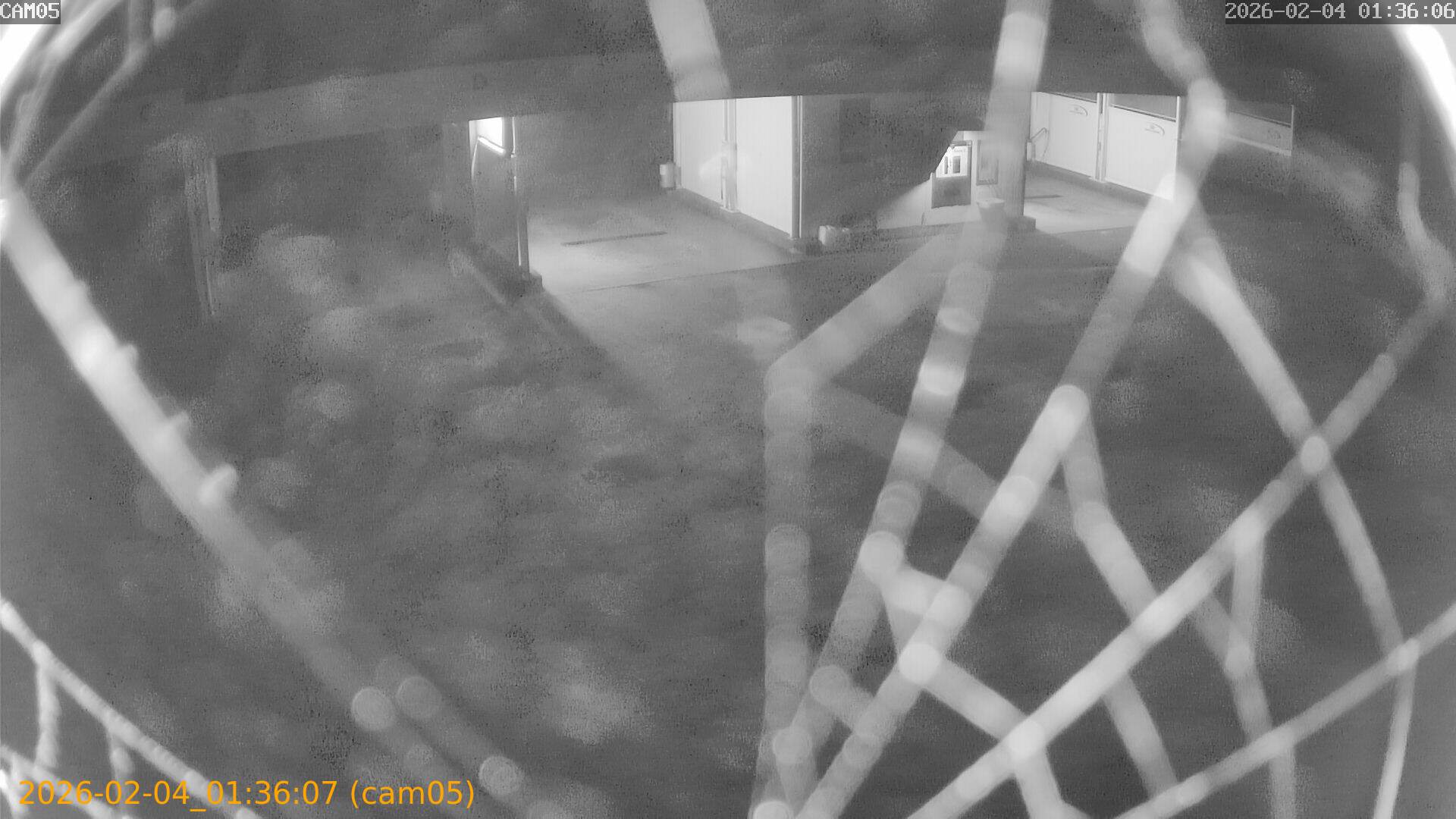 thumbnail_20260204013607