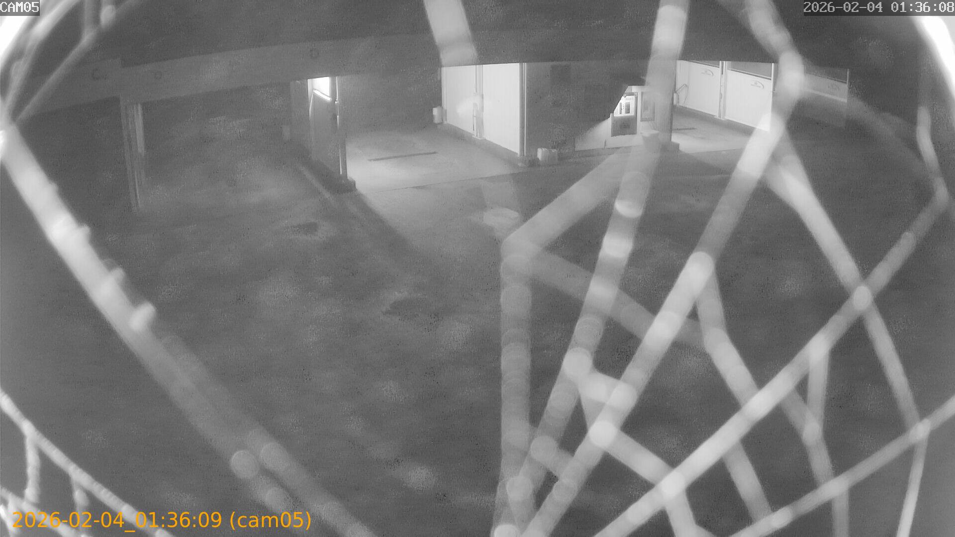 thumbnail_20260204013609