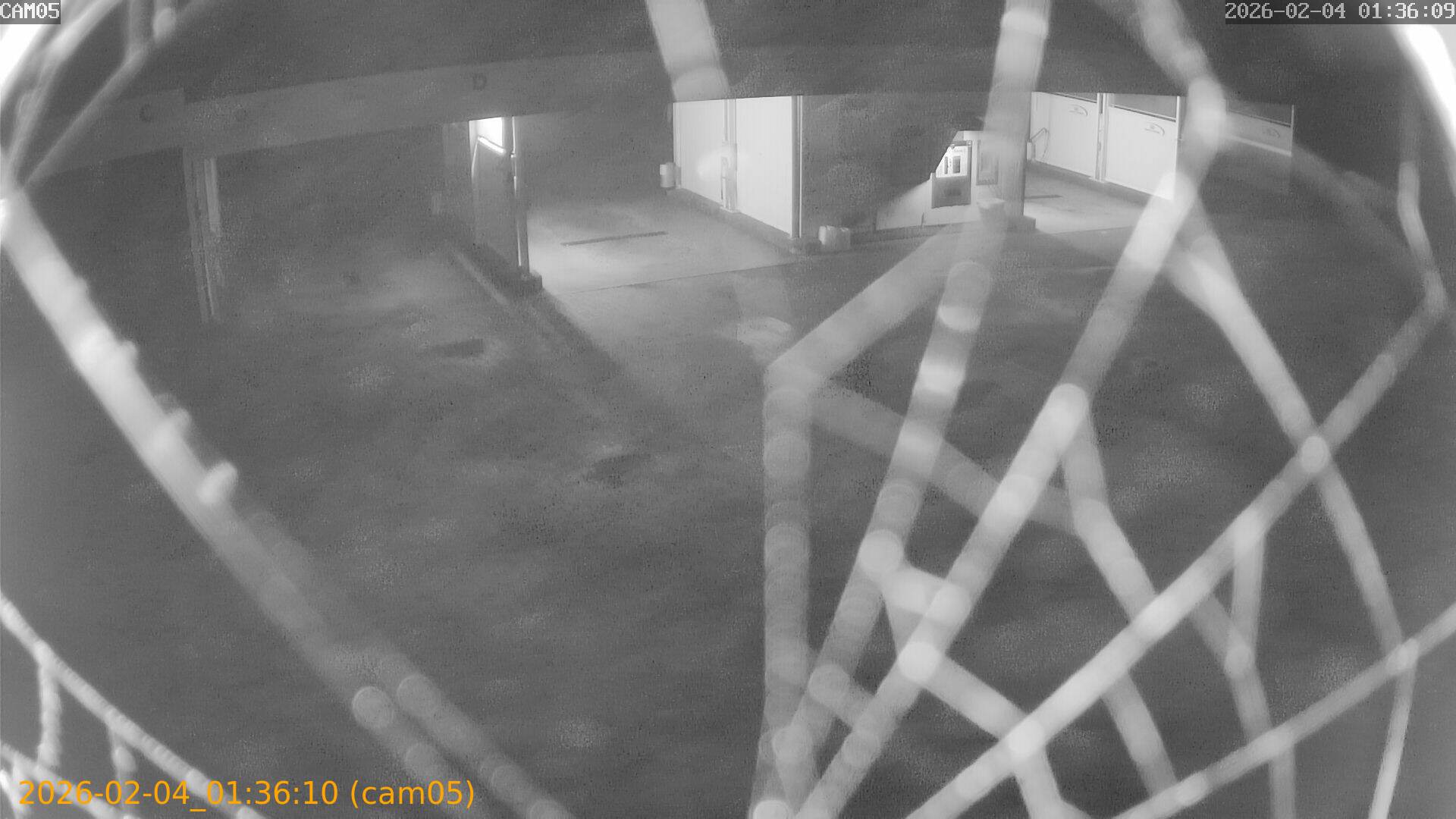 thumbnail_20260204013610