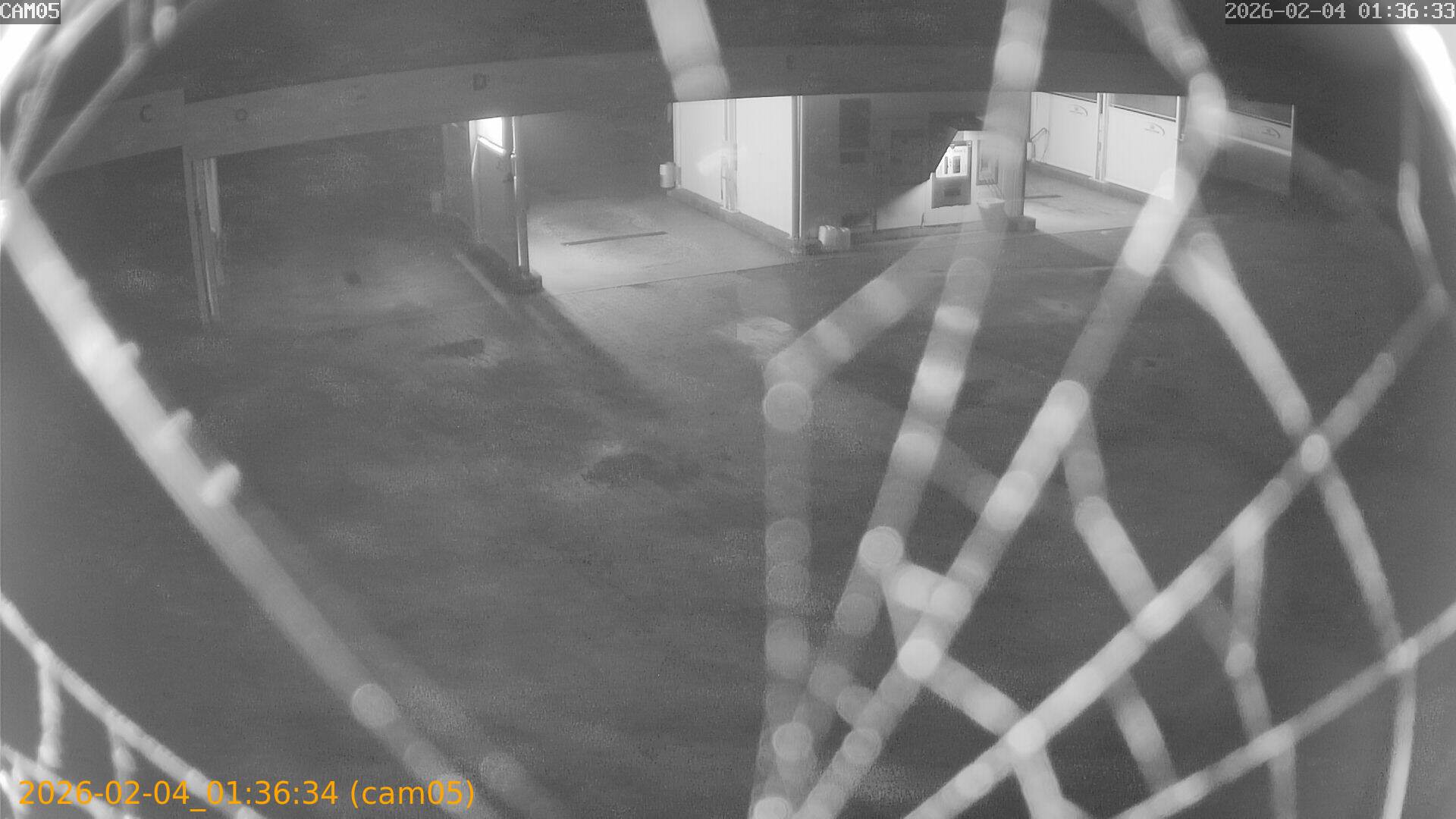 thumbnail_20260204013634