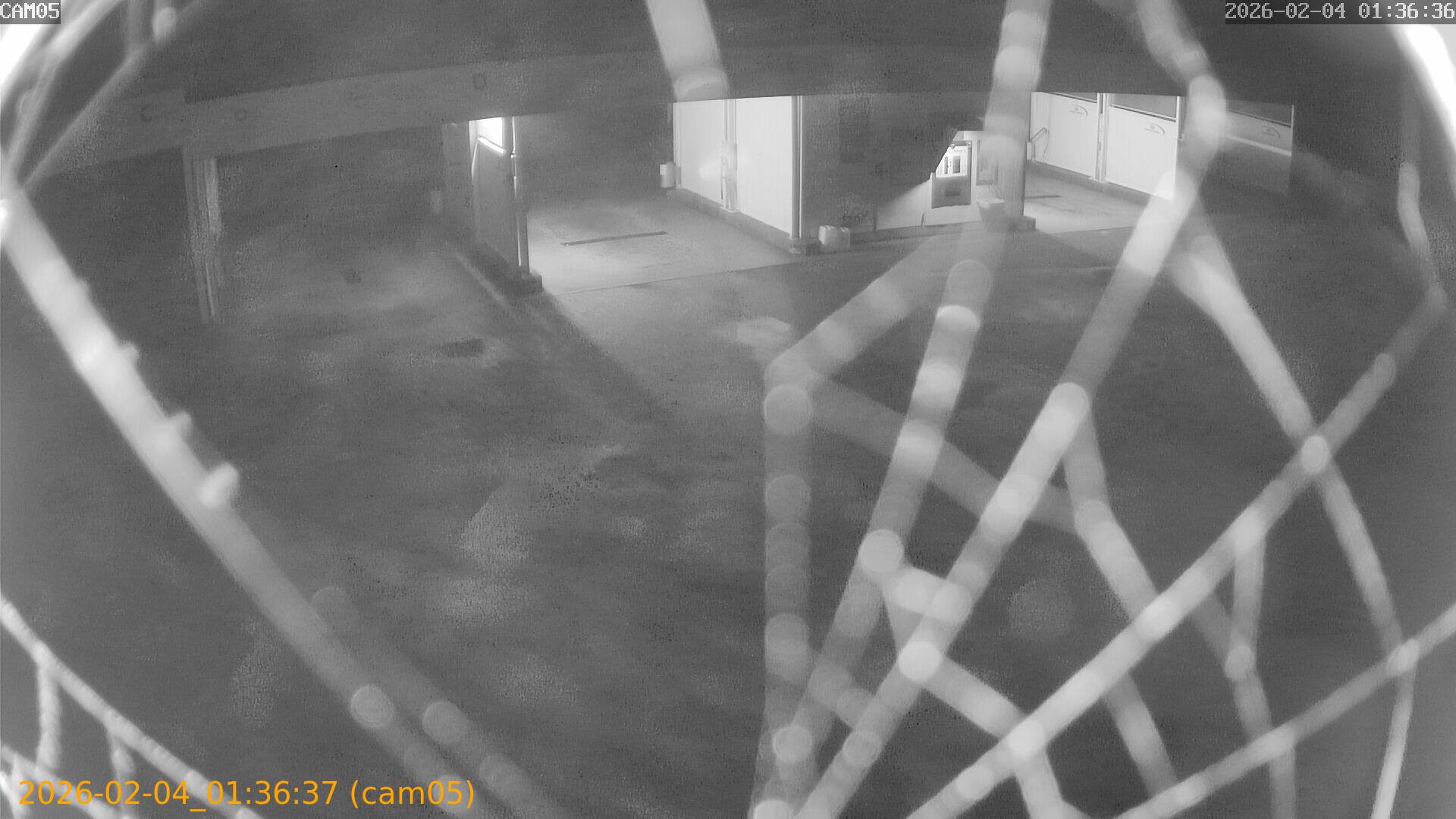 thumbnail_20260204013637