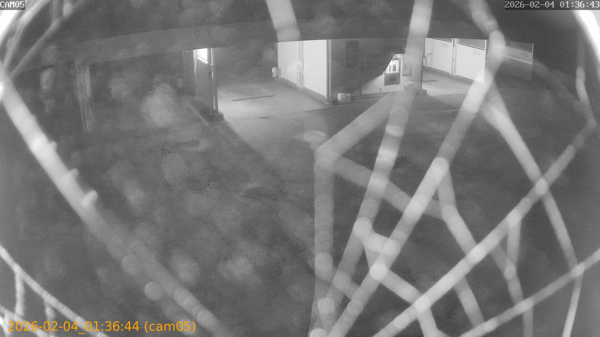 thumbnail_20260204013644