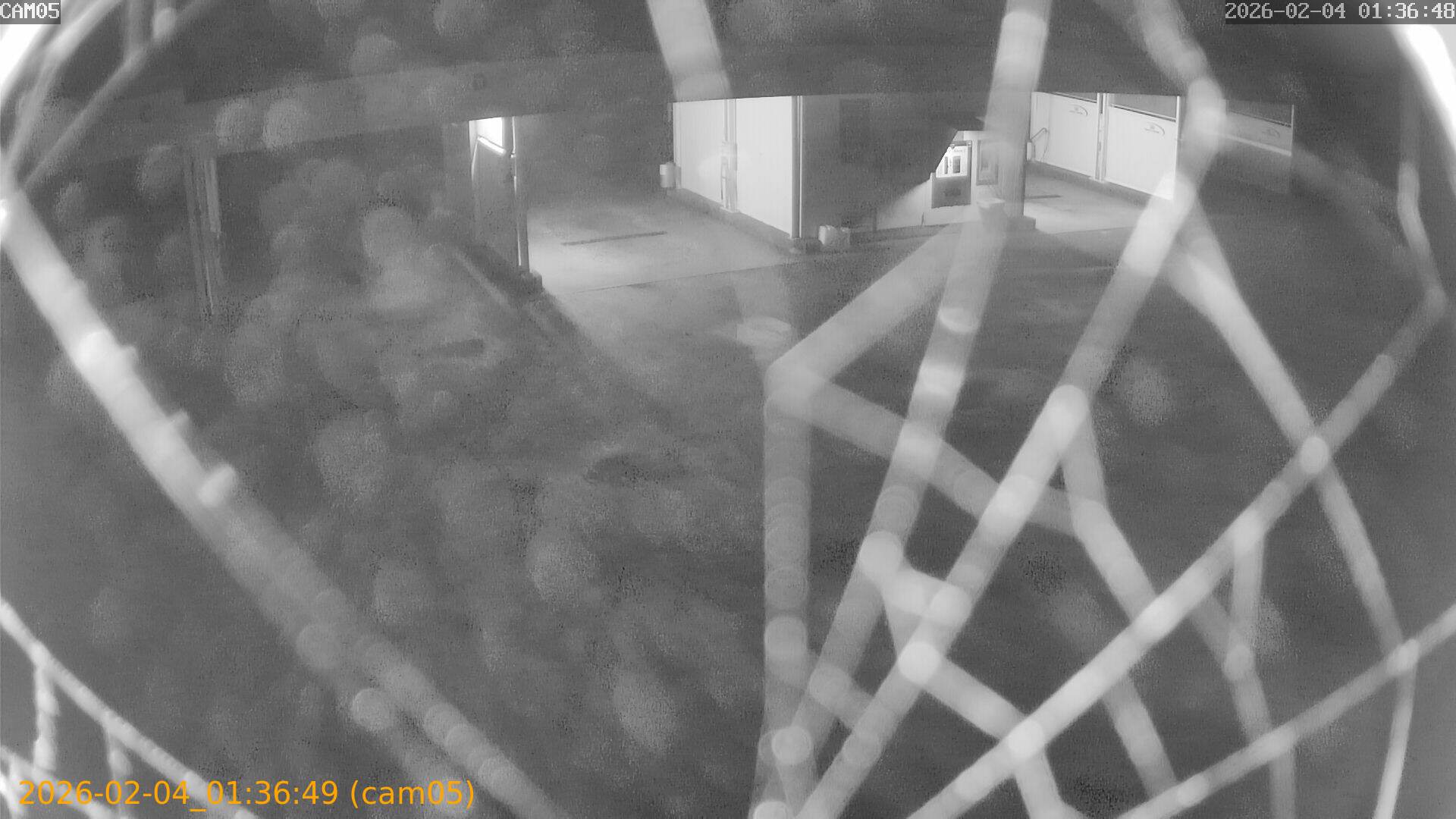 thumbnail_20260204013649