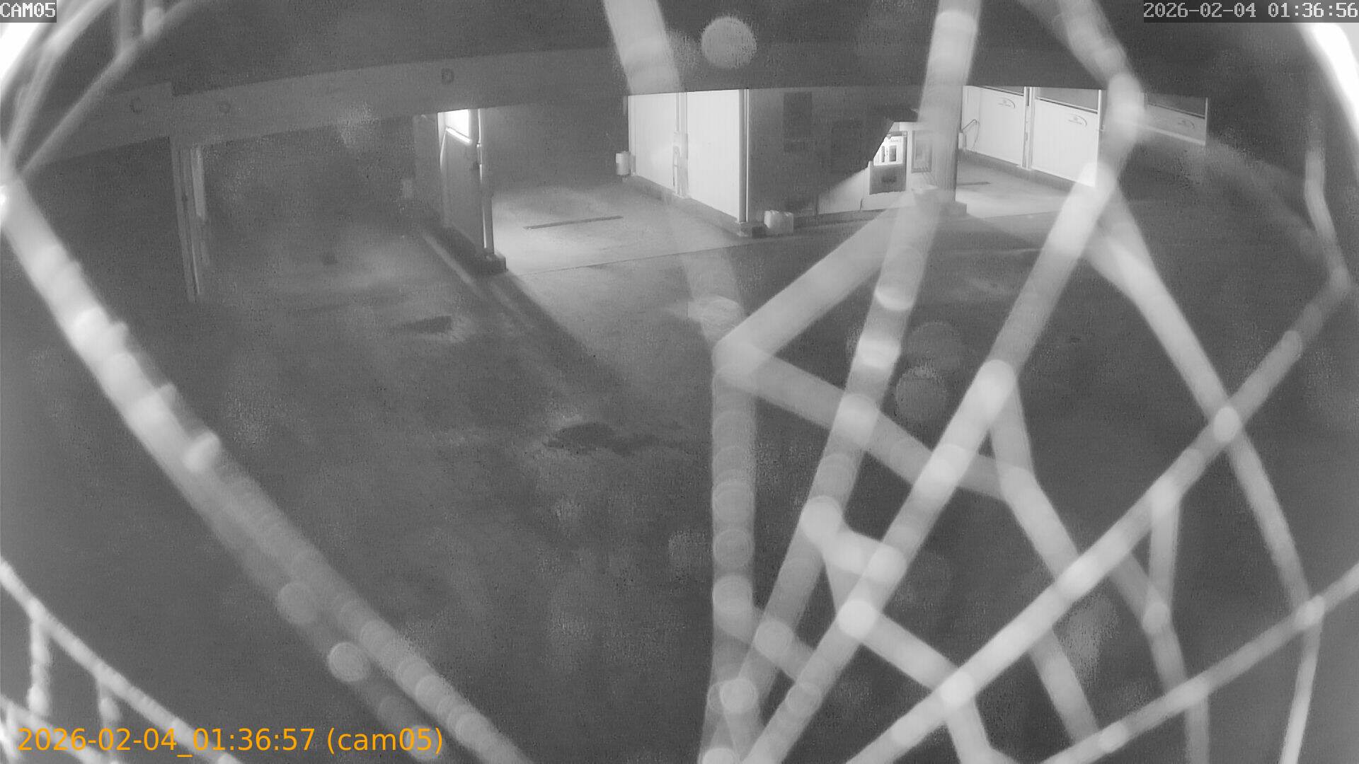 thumbnail_20260204013657