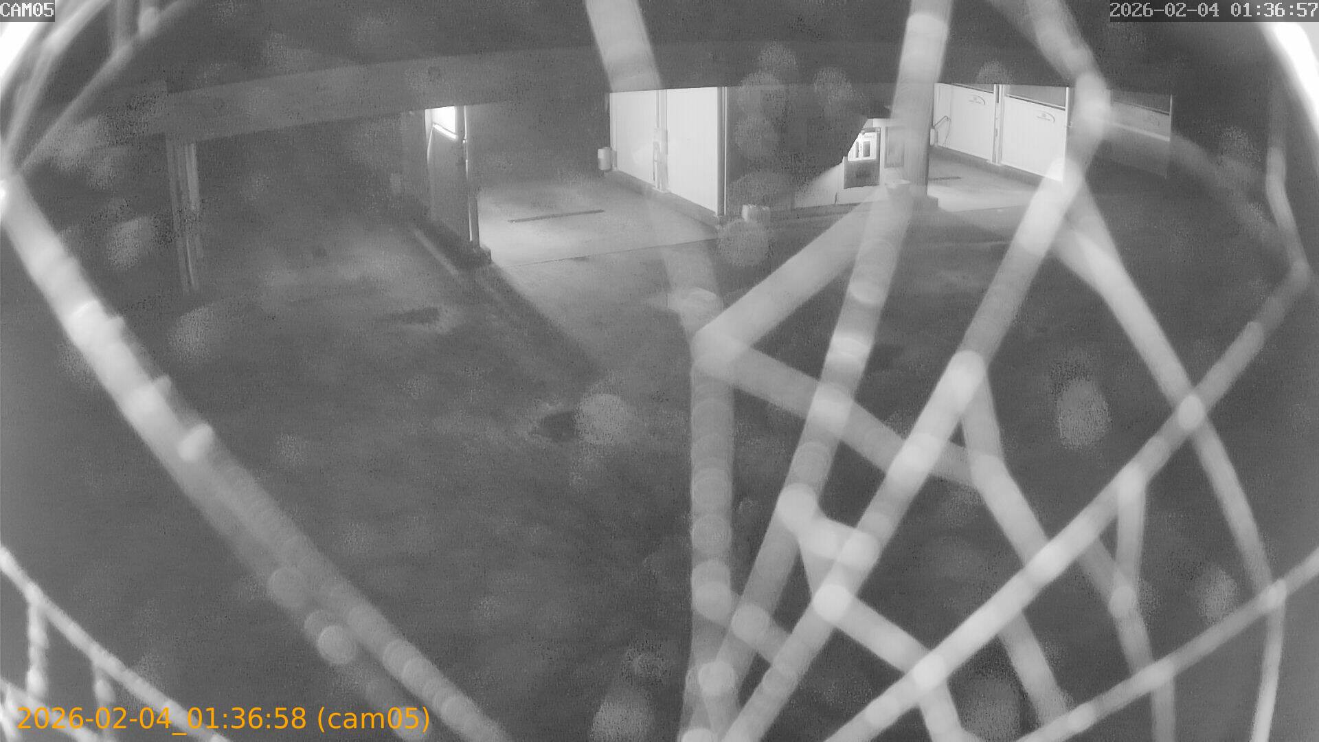 thumbnail_20260204013658