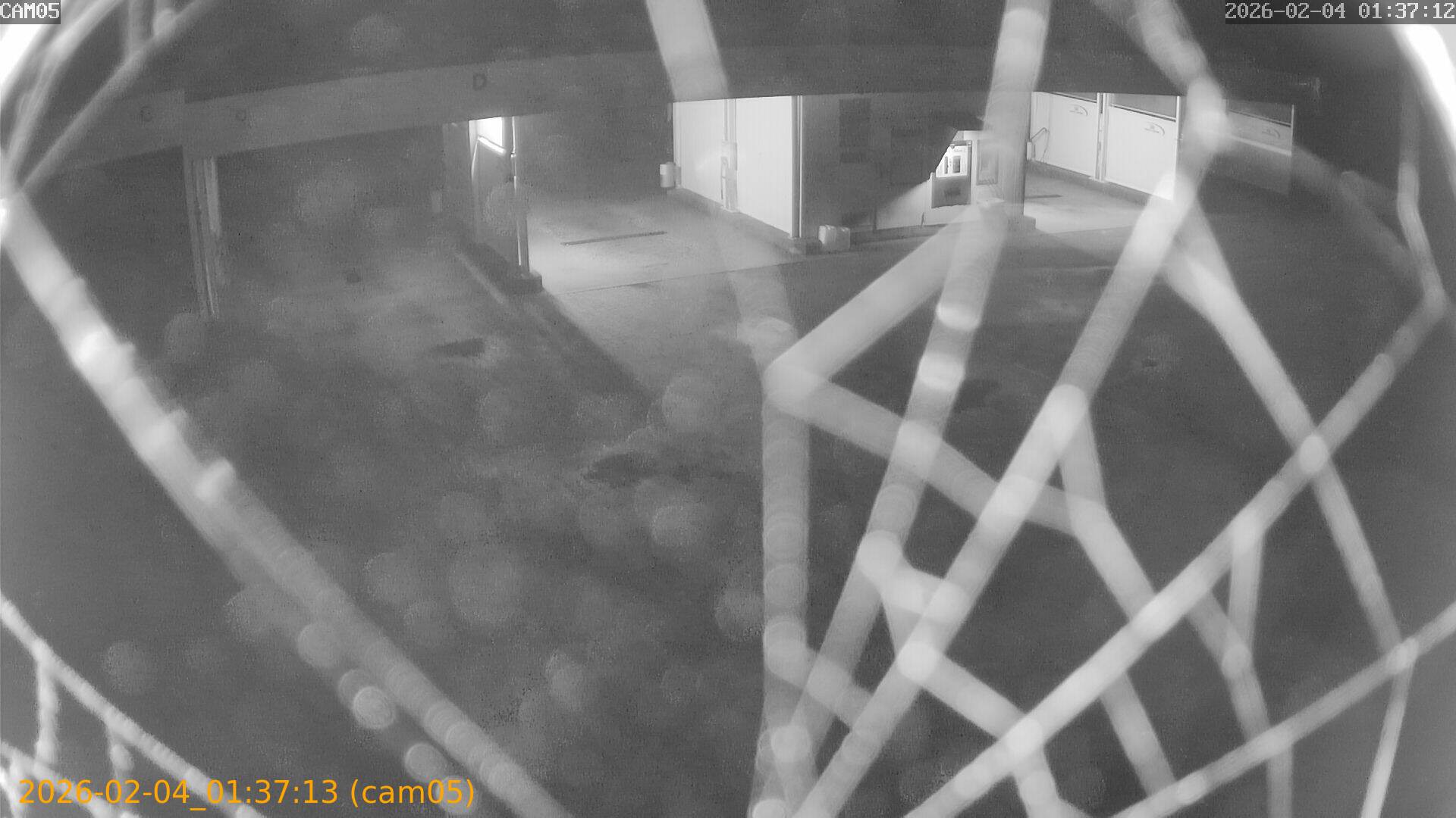 thumbnail_20260204013713