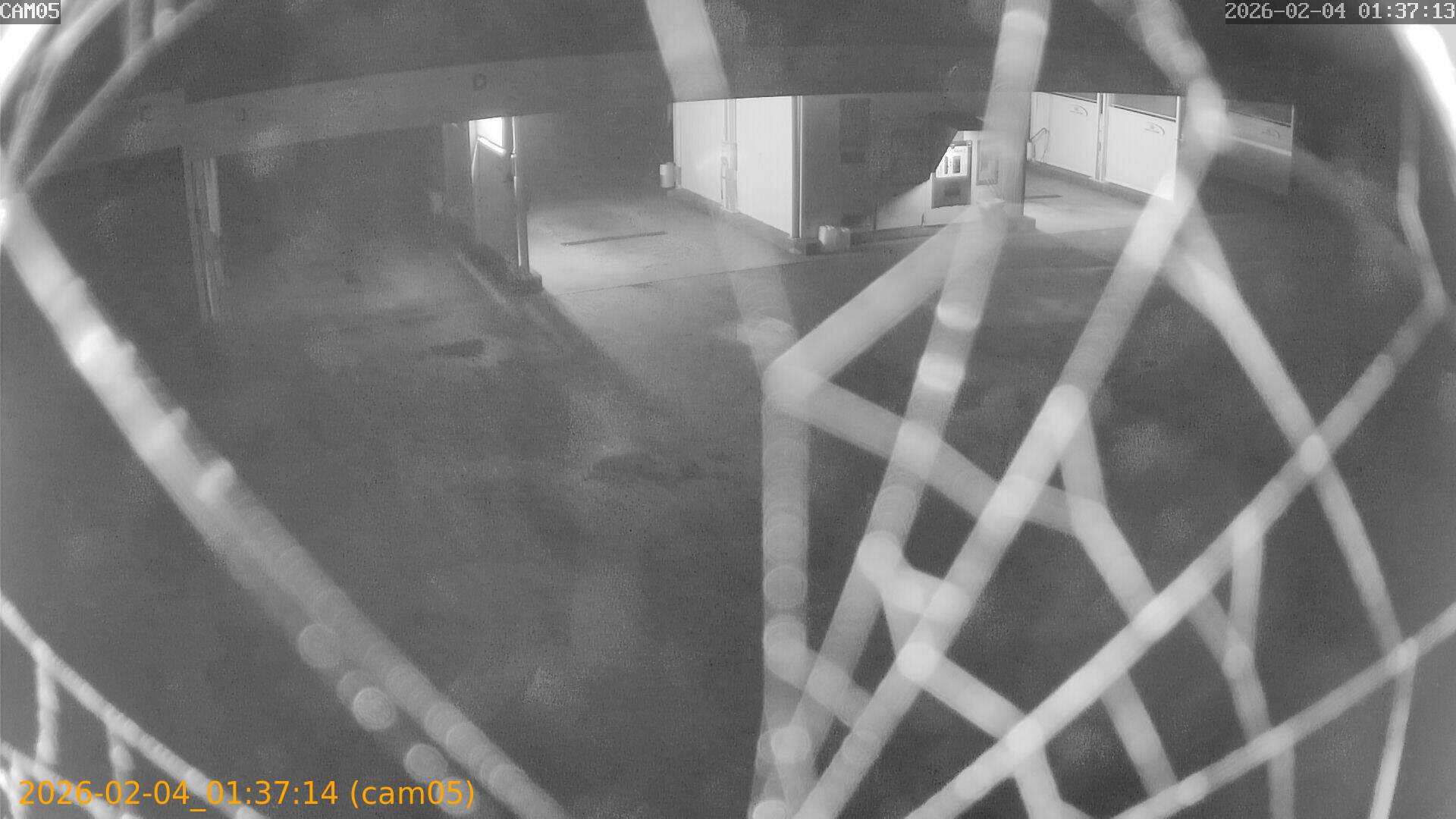 thumbnail_20260204013714