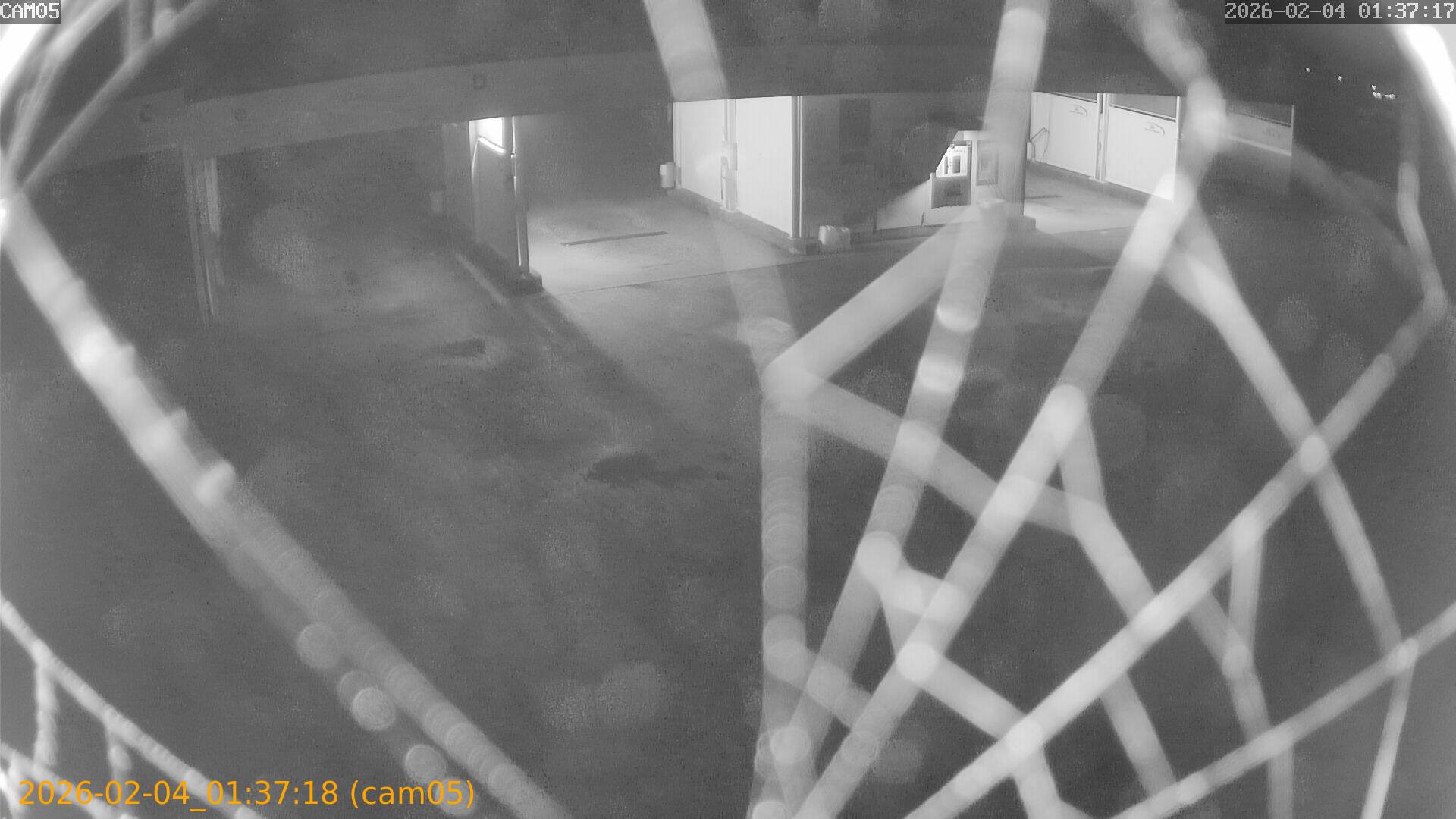 thumbnail_20260204013718