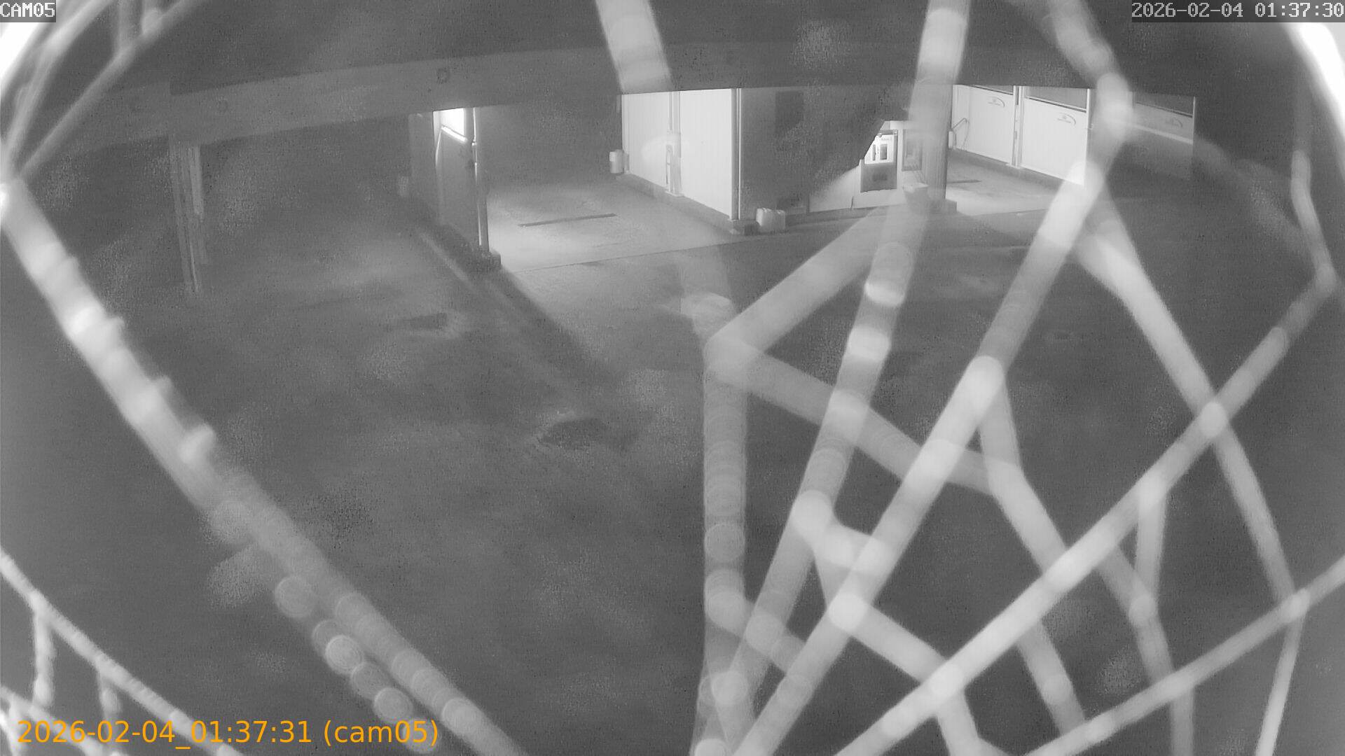 thumbnail_20260204013731