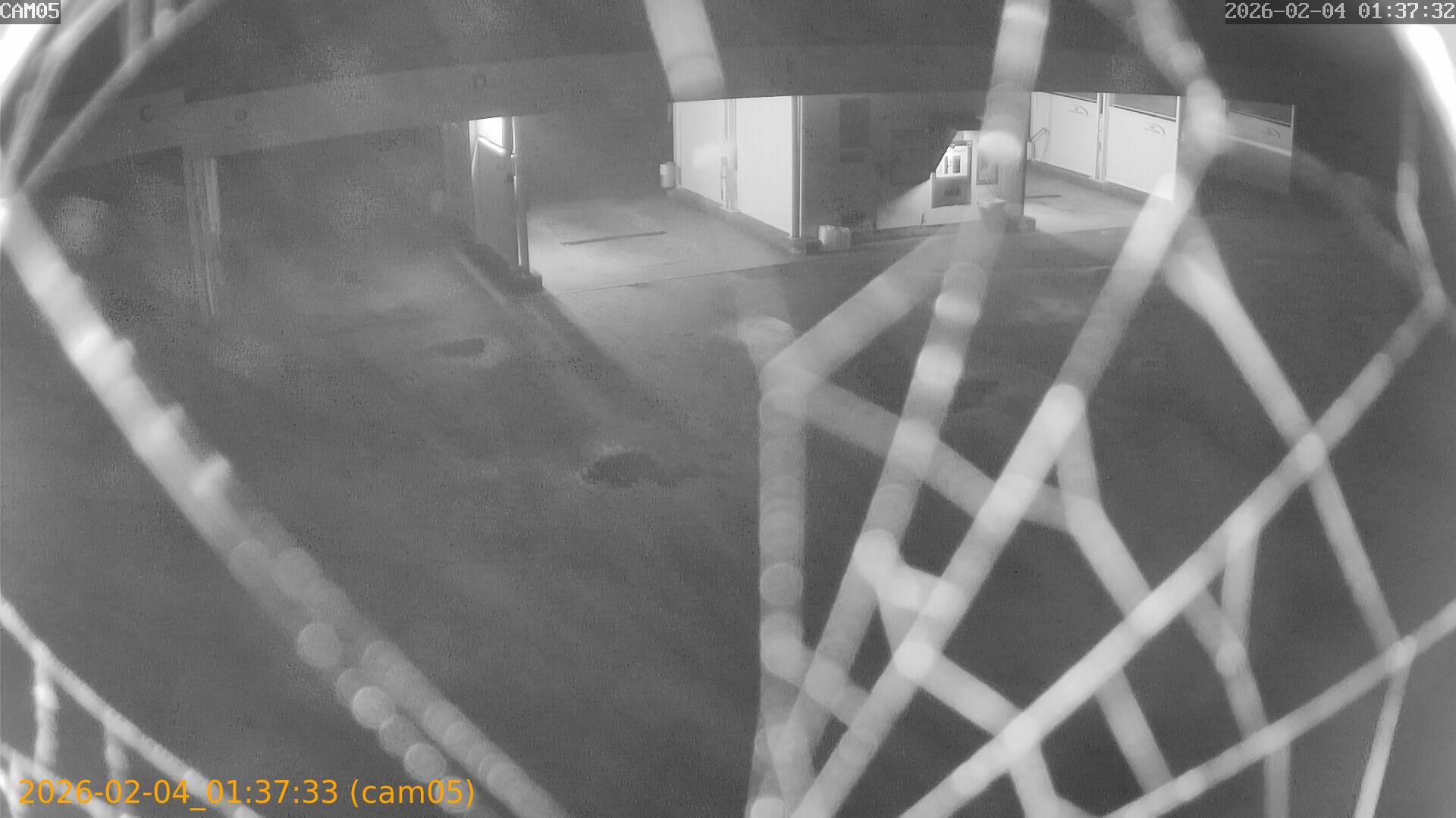 thumbnail_20260204013733