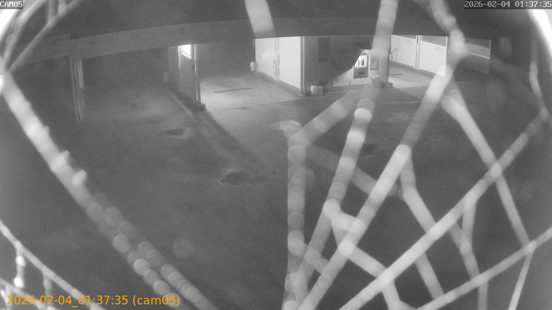 thumbnail_20260204013735