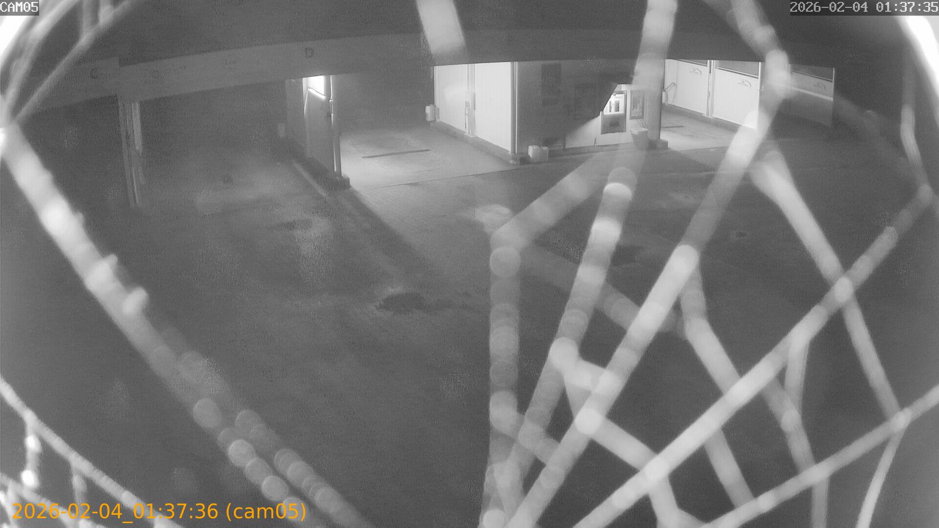 thumbnail_20260204013736