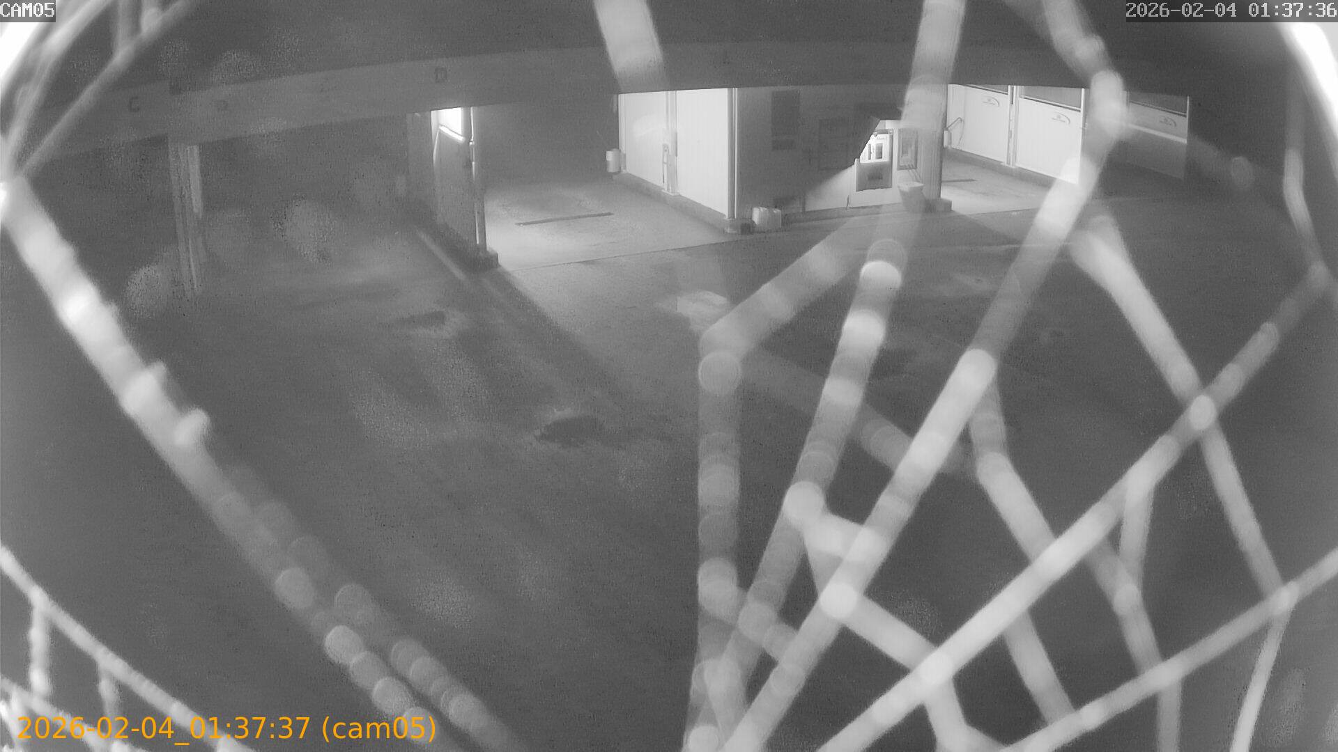 thumbnail_20260204013737