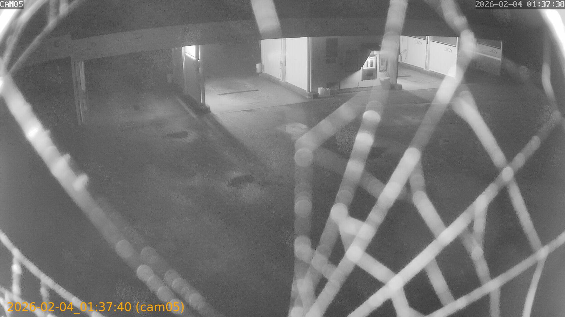 thumbnail_20260204013739